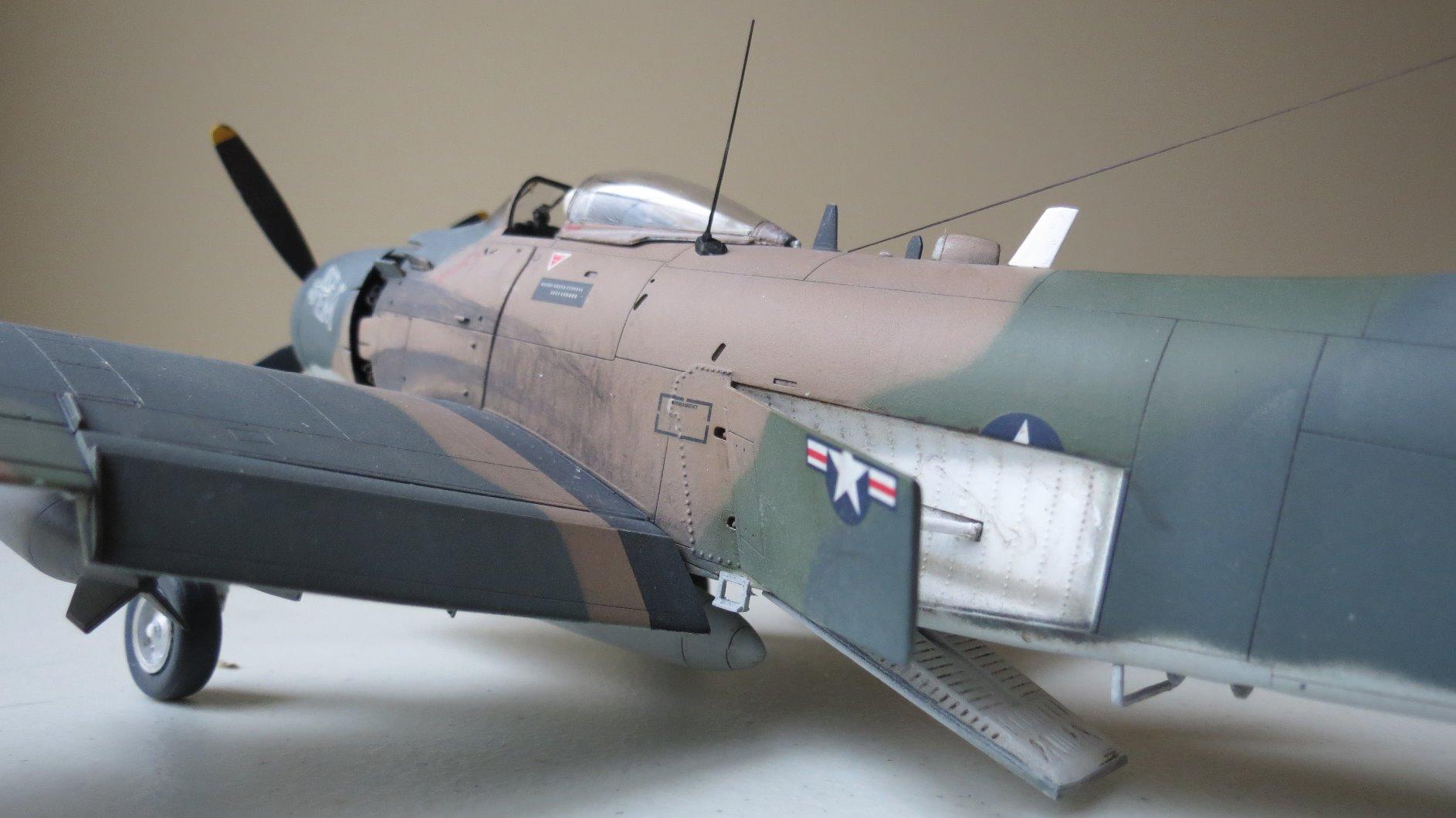 Tamiya 61073 1/48 Douglas A-1J Skyraider USAF Plastic Model Airplane Kit customer photo 2