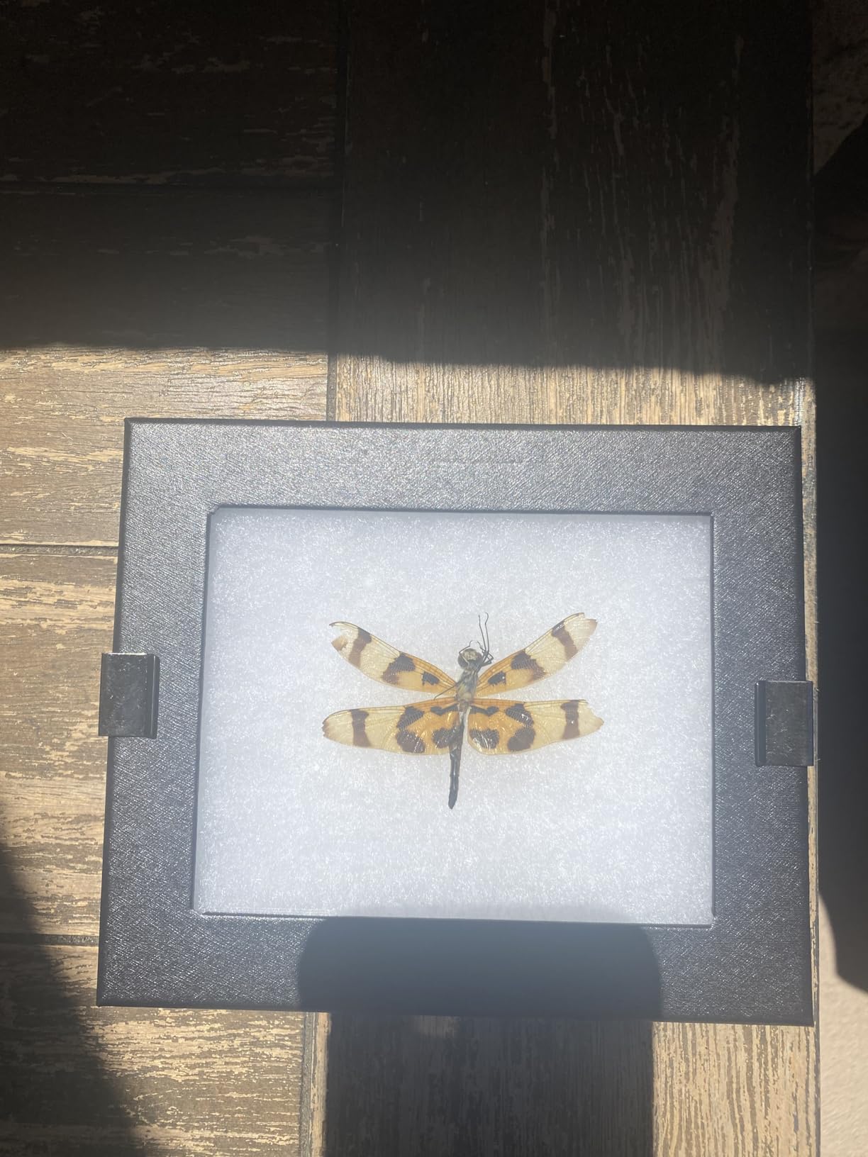 SE Glass Top Display Box - JT926 customer photo 2