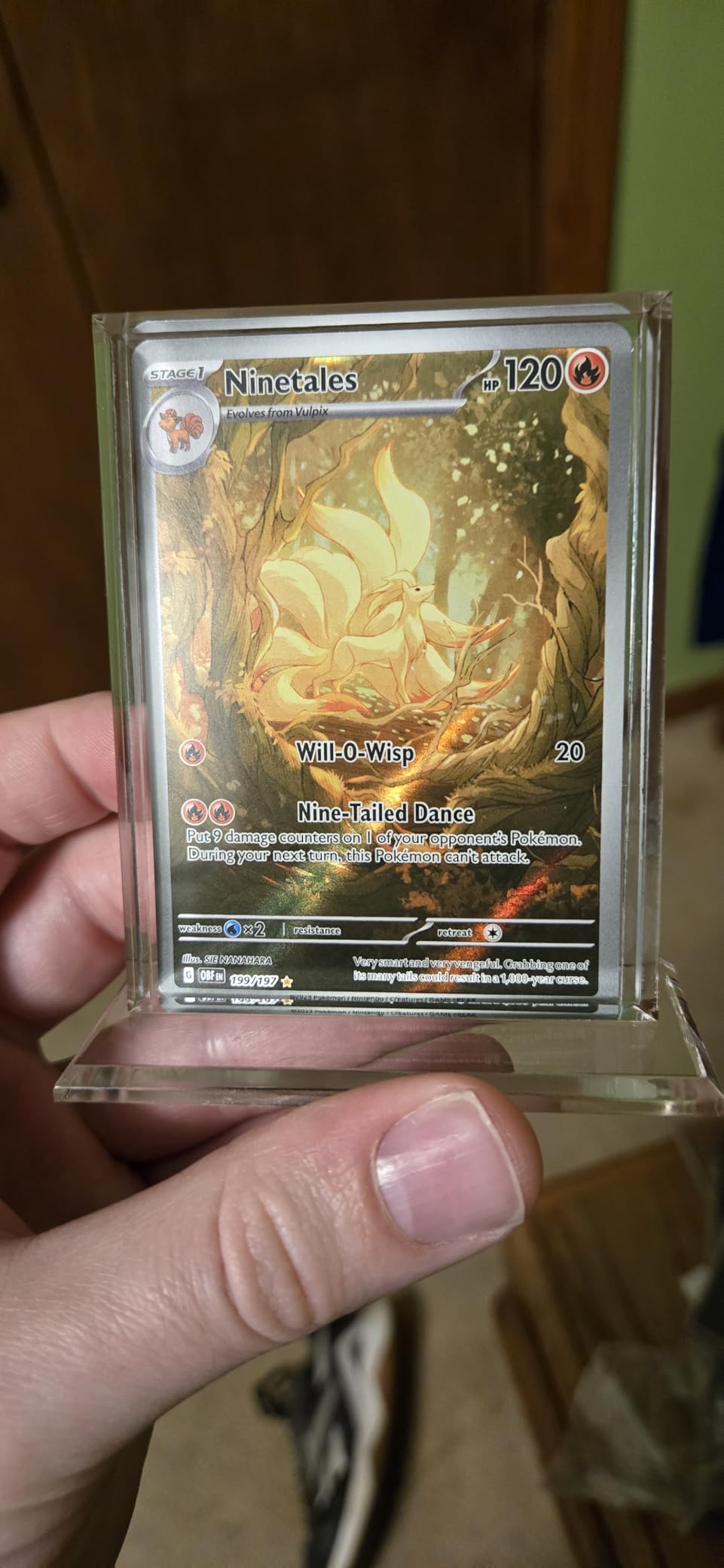 BCW Trading Card Display Stand - 1 ct | Acrylic Card Holder Stand for Sports Cards, Pokemon & TCG | Stable Vertical Card Stand with Beveled Edges | Clear Sports Card Display Stand customer photo 1