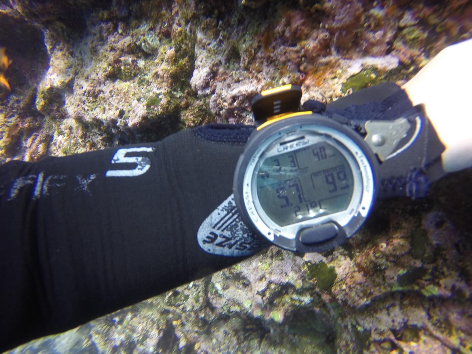CRESSI Leonardo 2.0 Scuba Dive Watch, Air Nitrox Gauge, Black/Blue customer photo 1