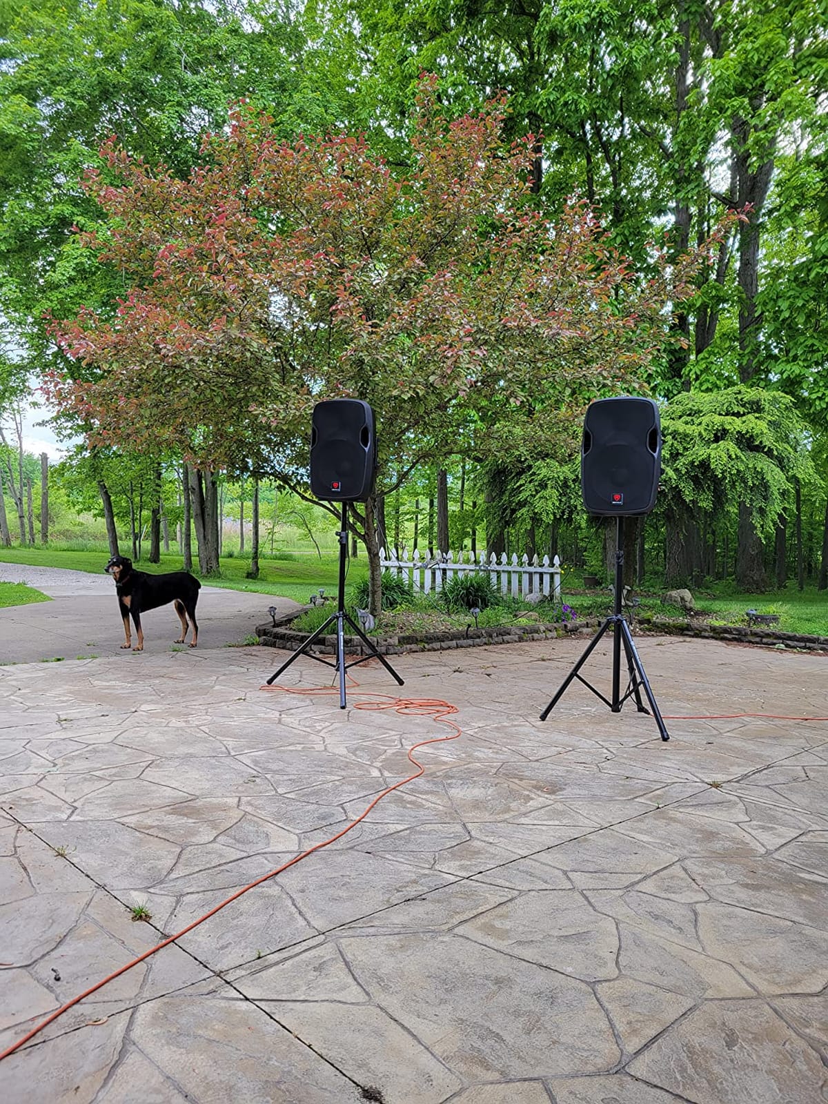 Rockville RVSS2 Black Tripod DJ PA Speaker Stands Pair with Carrying Case | 47