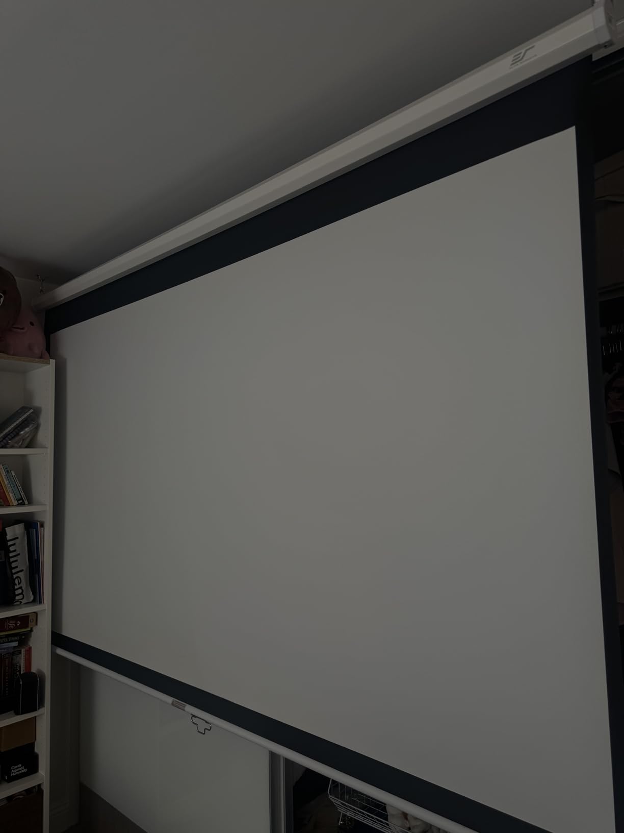Elite Screens Manual B, 100-INCH Manual Pull Down Projector Screen Diagonal 16:9 Diag 4K 8K 3D Ultra HDR HD Ready Home Theater Movie Office Presentation, M100H customer photo 2
