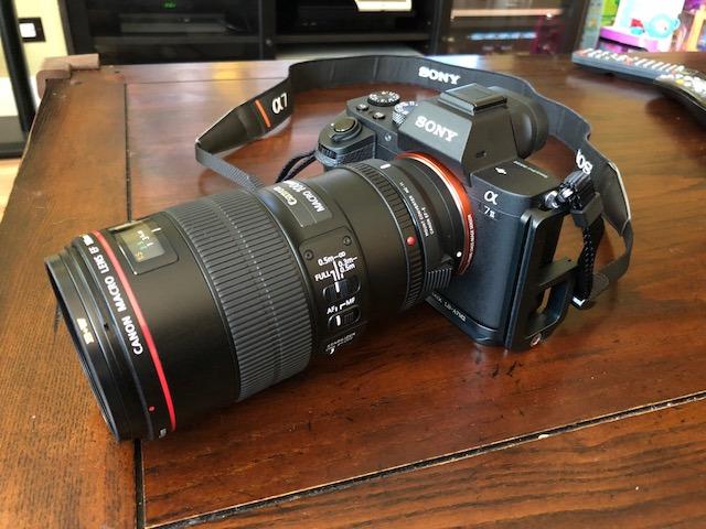 Sigma Mount Converter MC-11 for Canon EF-SGV Lenses to Sony E customer photo 1