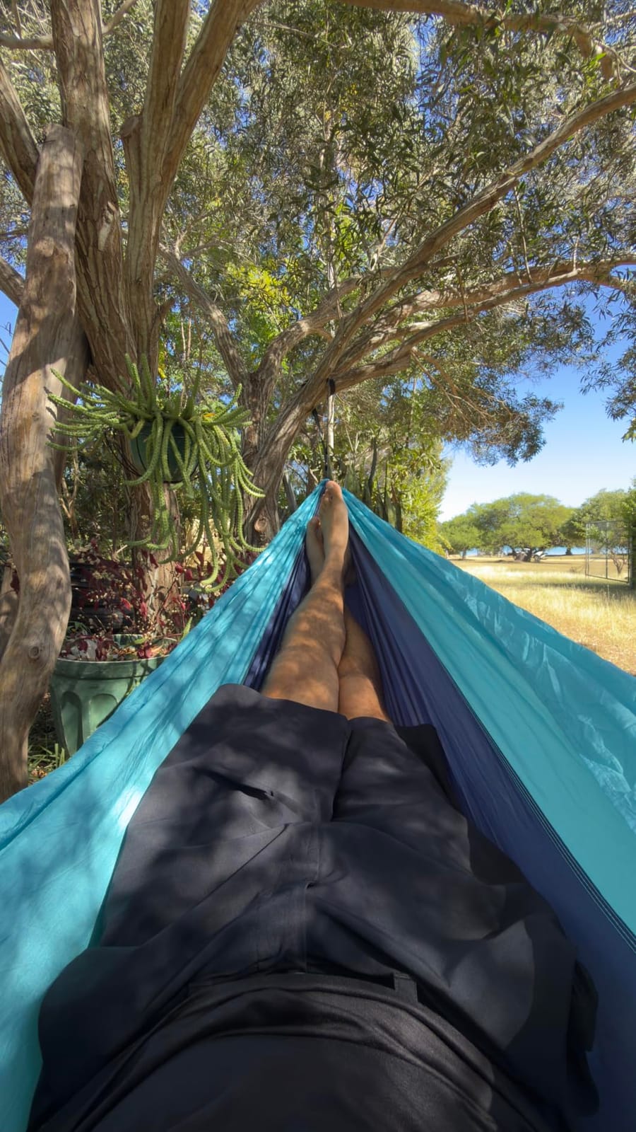 Wise Owl Outfitters Camping Hammock - up to 500lbs Portable Hammock with Tree Straps - Travel, Backpacking, Hiking, Outdoors Camping Gear - Single or Double customer photo 2