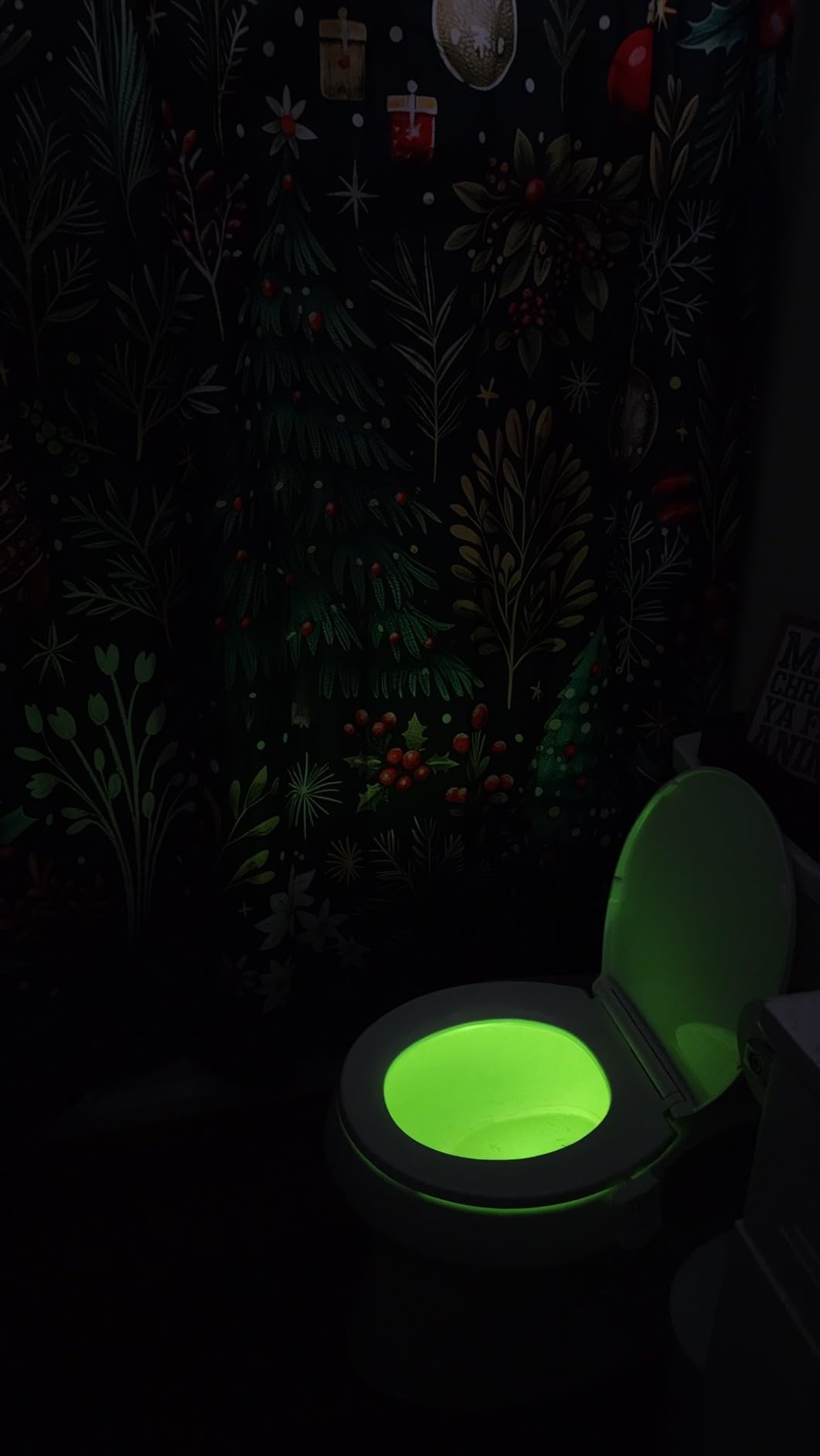 ToiLight The Original Toilet Bowl Night Light - Fun Useful Bathroom Motion Sensor customer photo 1