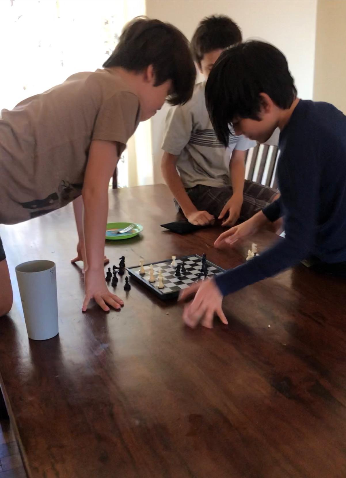 Magnetic Travel Chess Set for Kids and Adults, 9.84 Inches | Portable Folding Chess Board,Family Educational Toys for Class,Party,Travel Game for Road Trip,Trian & Airplane,2 Players customer photo 1