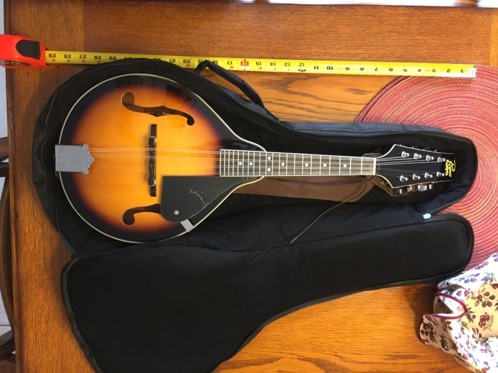Tosnail Soft A & F Style Mandolin Gig Bag with 15mm Padding - Carry Handle & Shoulder Strap customer photo 1
