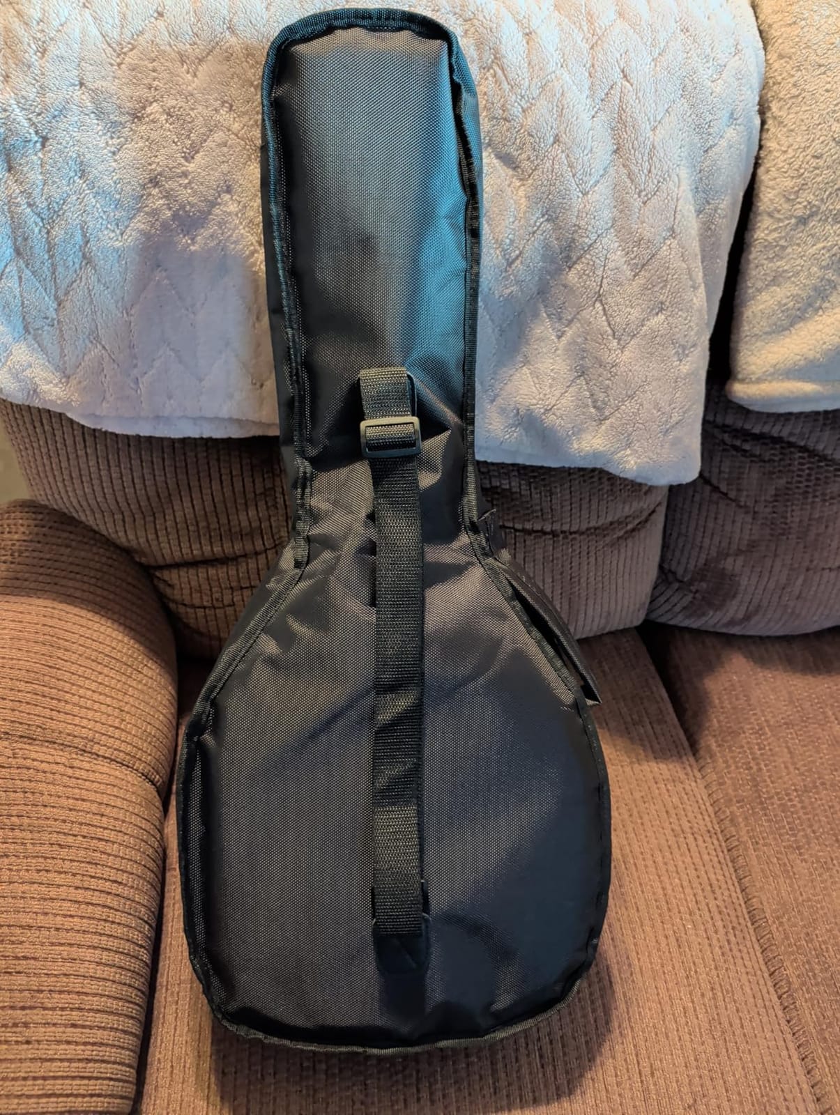 Tosnail Soft A & F Style Mandolin Gig Bag with 15mm Padding - Carry Handle & Shoulder Strap customer photo 2