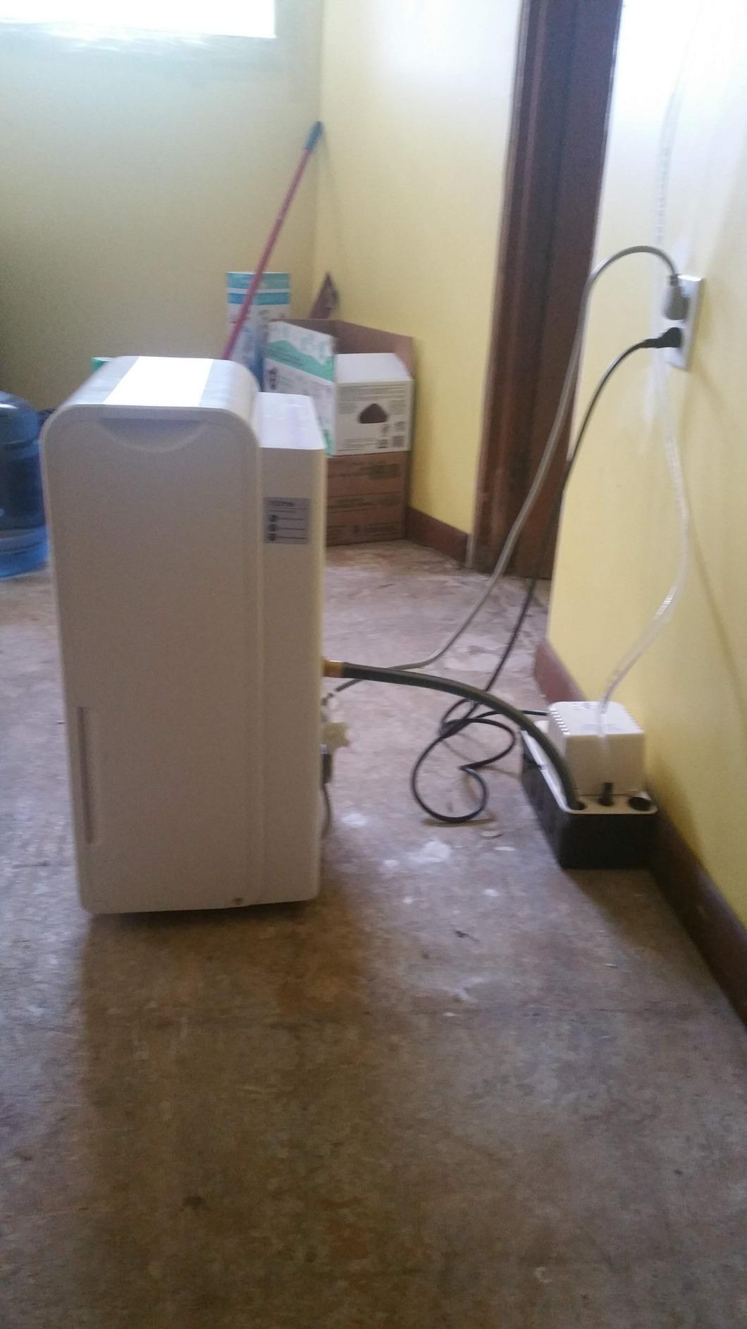 hOmeLabs Dehumidifier 7,000 Sq Ft 50 Pint (MAX 120 Pint at 95F, 90% RH) | WIFI + Upgraded Advanced Humidity & Moisture Control, Quiet, Efficient, Auto Shut-off, Ideal for Home, Basement, Office customer photo 2