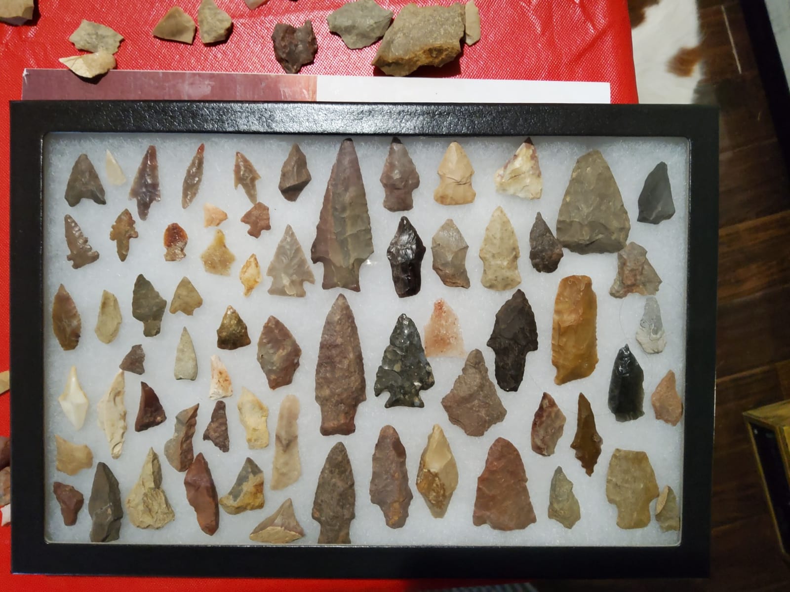 6 Pack of Riker Display Cases 8 x 12 x 3/4 with Glass Top for Collectibles Jewelry Arrowheads Relics & More customer photo 2