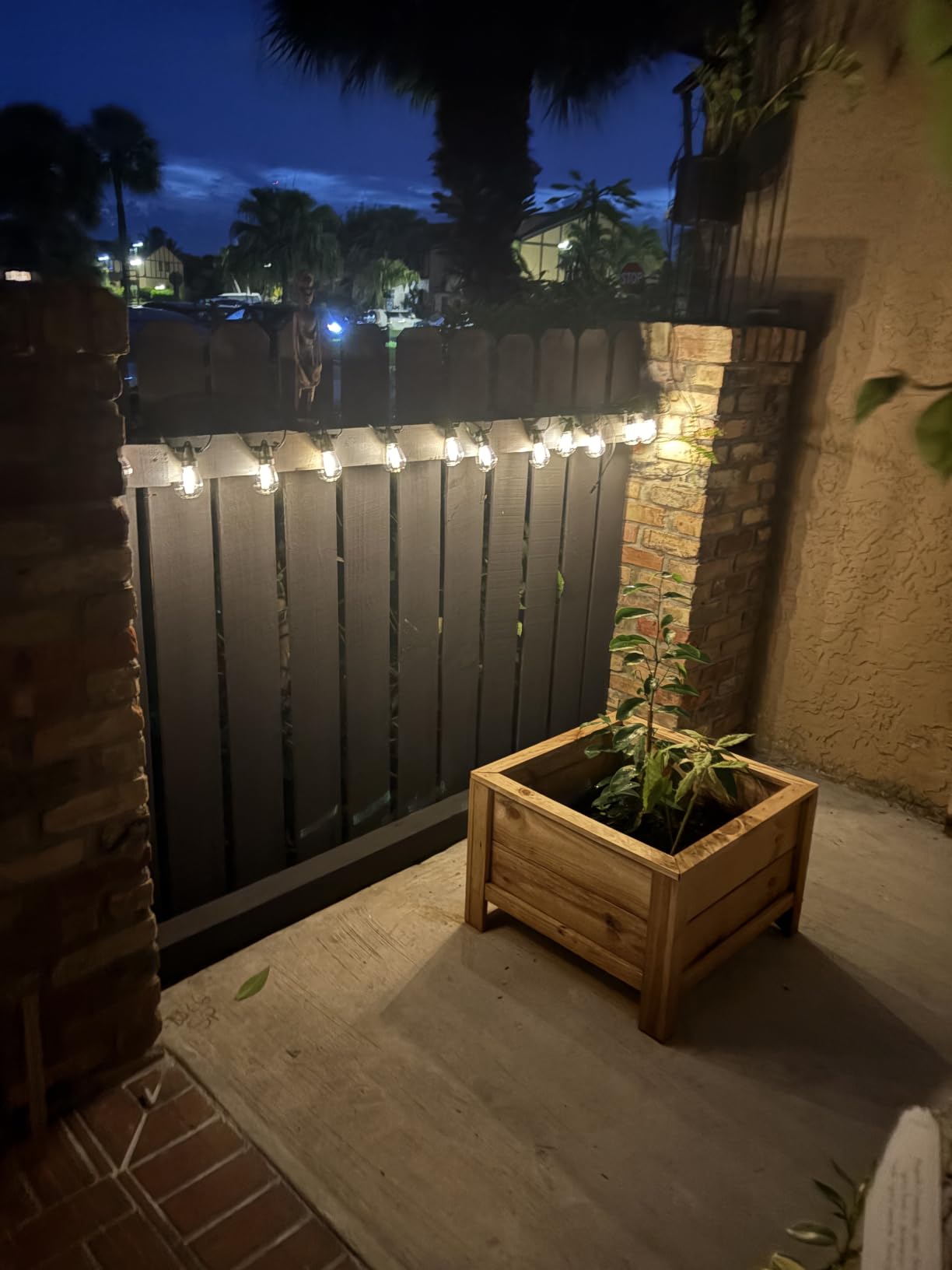 Brightech Ambience Pro Solar Powered Outdoor String Lights - 27 ft Commercial Grade Waterproof Edison Patio Lights, Shatterproof LED String Lights for Outside, Porch - 12 Bulbs, 1W Soft White customer photo 1