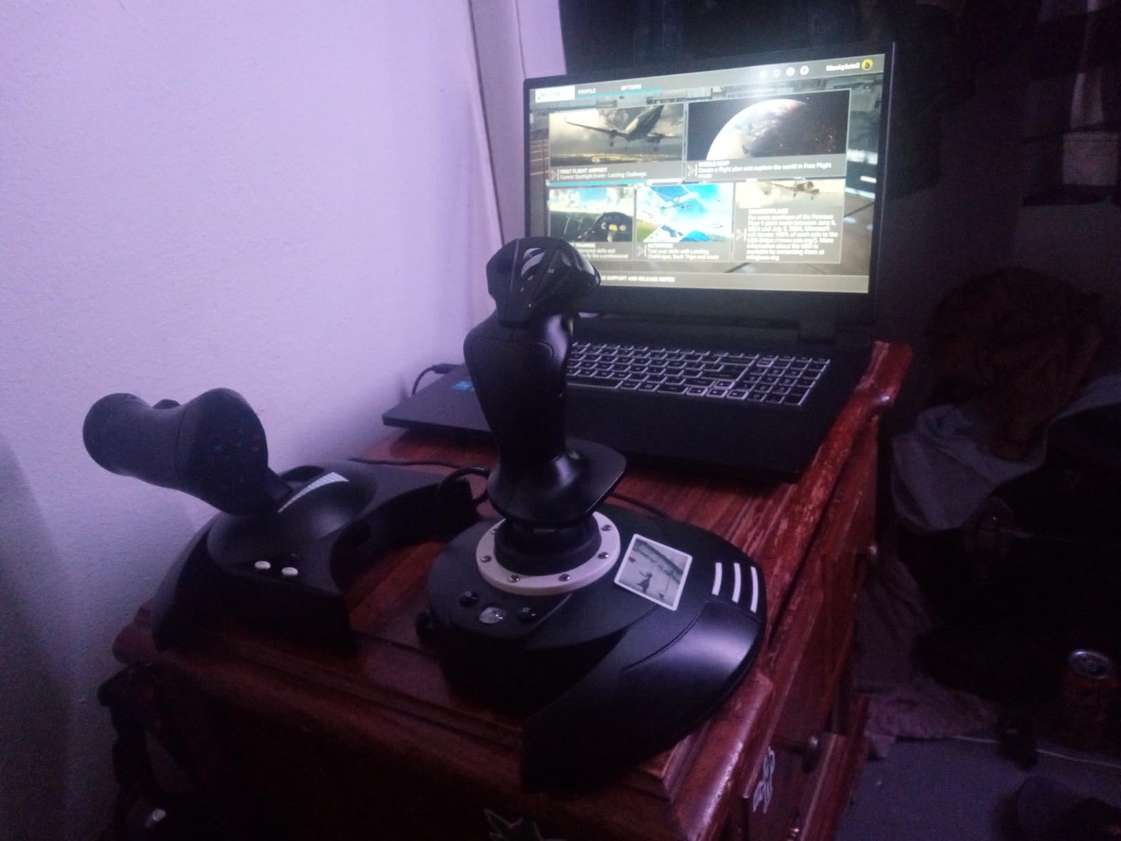Thrustmaster T-Flight Hotas One Flight Stick & Throttle - XBOX & PC customer photo 1