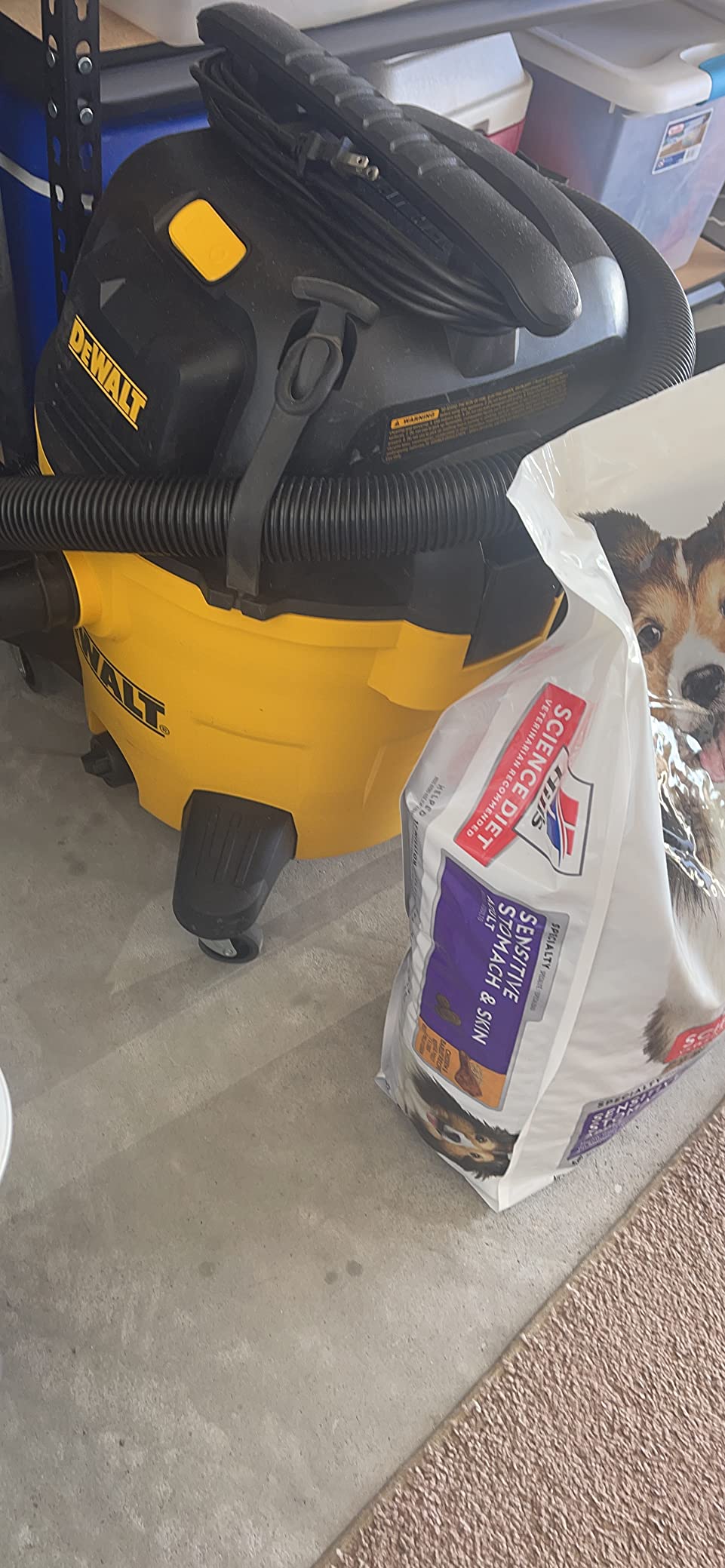 DEWALT 10 Gallon Poly Wet Dry Vacuum, 5.5 HP Shop Vacuum DXV10P customer photo 1