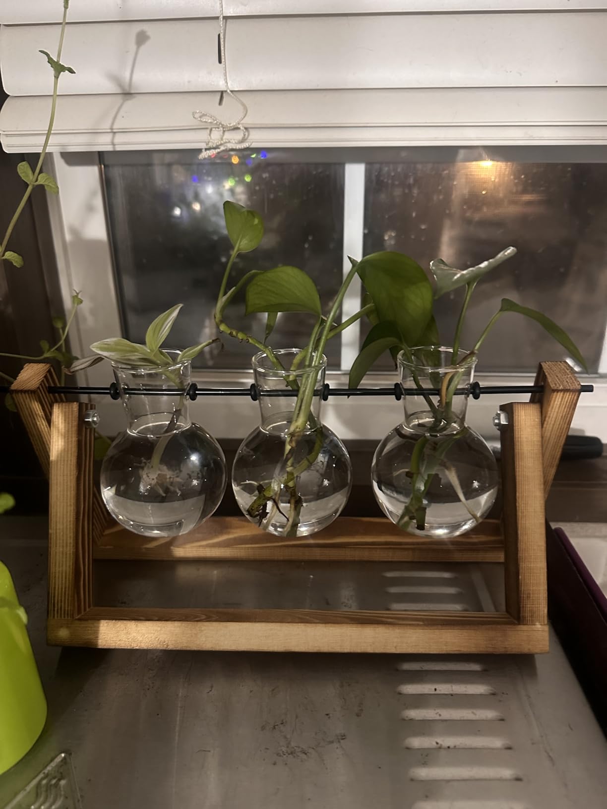 XXXFLOWER Plant Terrarium with Wooden Stand, Air Planter Bulb Glass Vase Metal Swivel Holder Retro Tabletop for Hydroponics Home Garden Office Decoration - 3 Bulb Vase customer photo 2