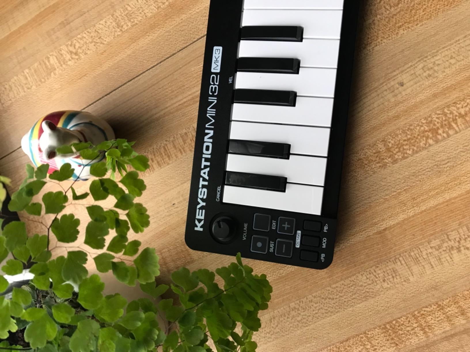 M-AUDIO Keystation Mini 32 MK3 USB MIDI Controller | Portable Mini Keyboard, 32 Velocity-Sensitive Keys, and Bundled DAW Recording Software customer photo 1