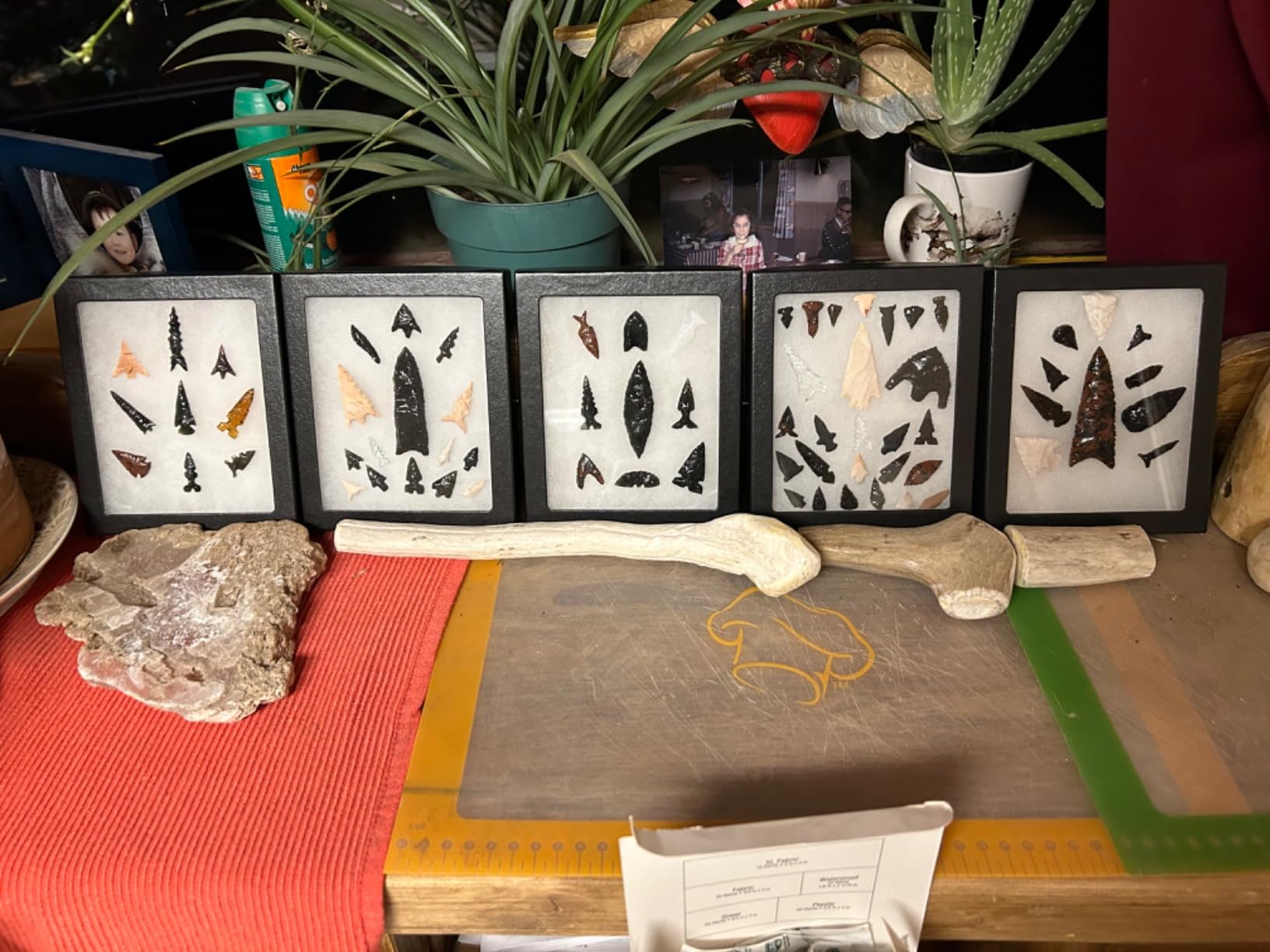 6 Pack of Riker Display Cases 5 x 6 x 3/4 for Collectibles, Arrowheads & More customer photo 2