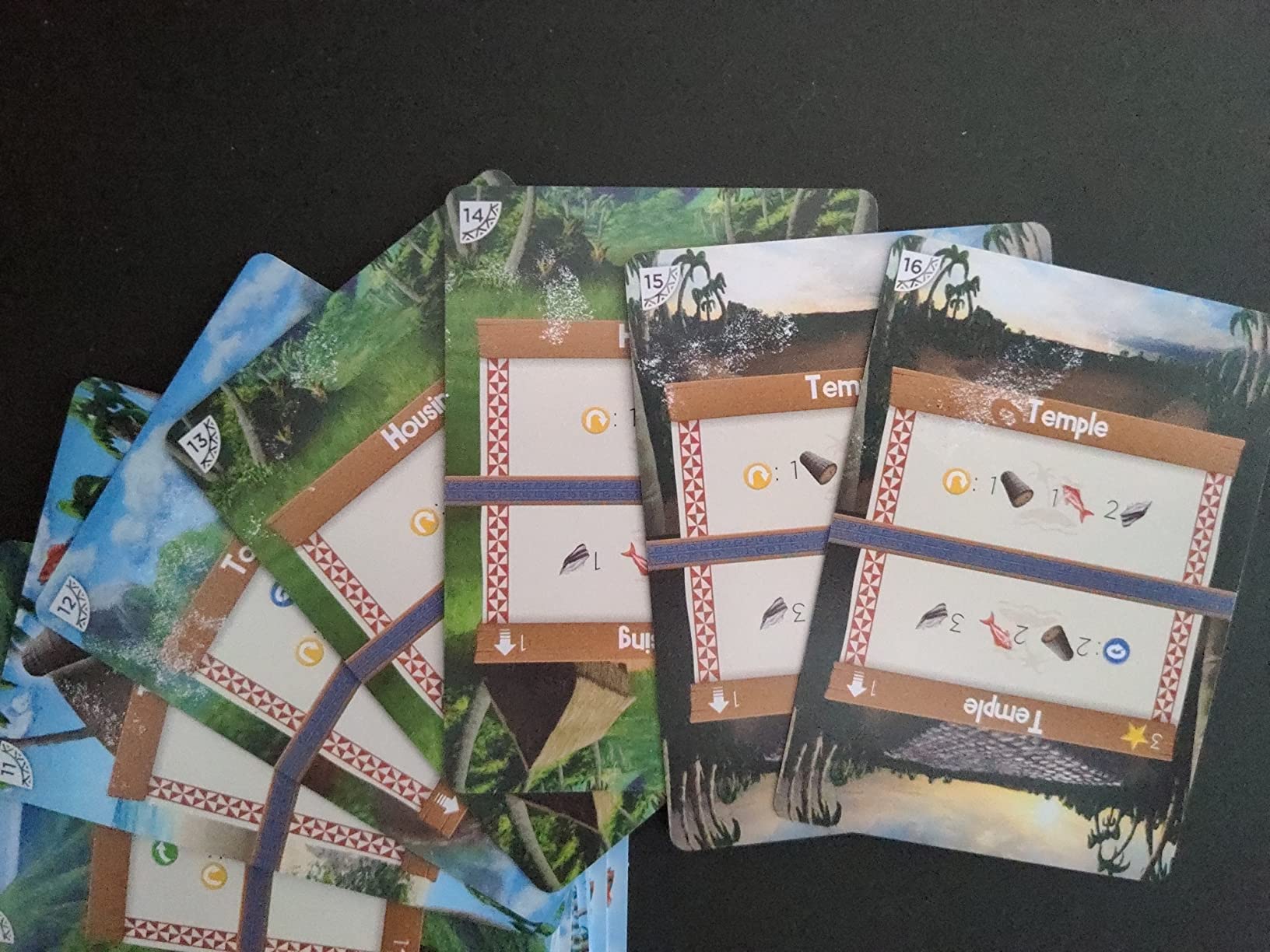 Palm Island Deluxe customer photo 2
