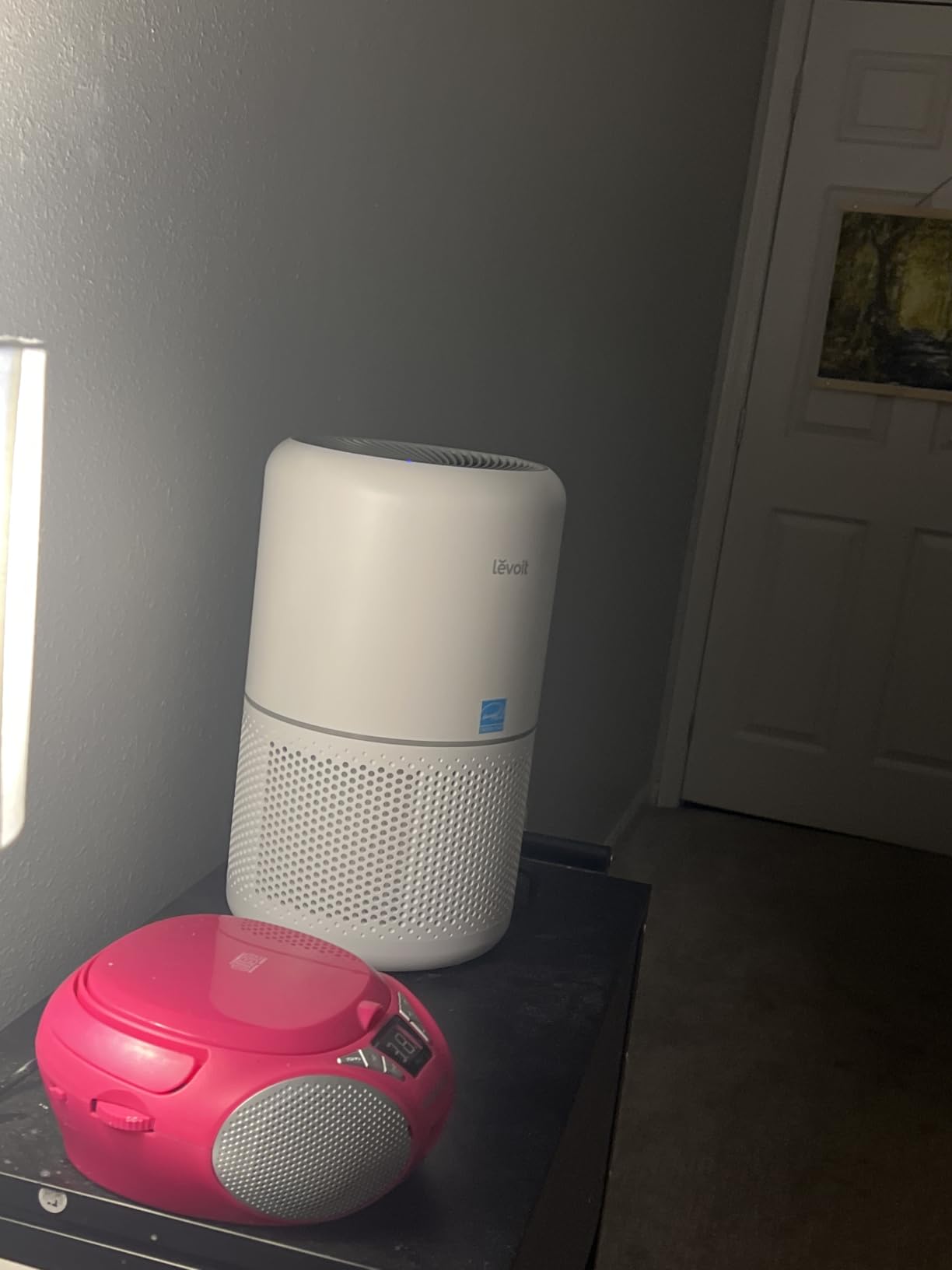 LEVOIT Air Purifier for Home Allergies and Pets Hair Smokers in Bedroom, H13 True HEPA Filter, 24db Filtration System Cleaner Odor Eliminators, Remove 99.97% Dust Smoke Mold Pollen, Core 300, White customer photo 1