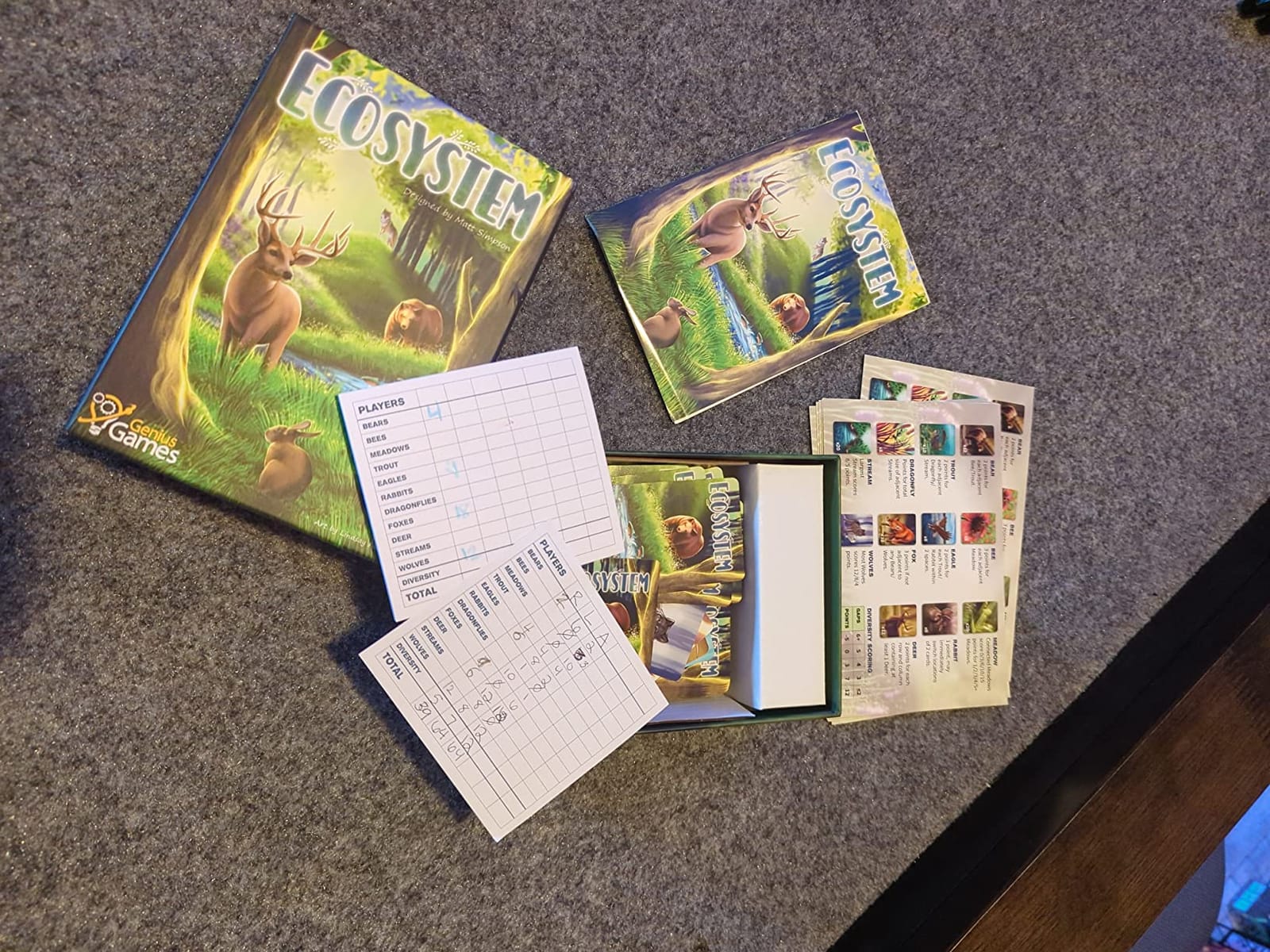Ecosystem - A Family Card Game about Building Habitats | Learn about Animals, Ecology & Biodiversity for Kids, Adults, Families or the classroom! customer photo 1