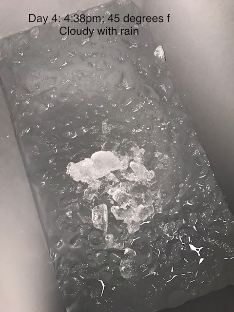 Igloo BMX Cooler | Insulated Hard Shell Ice Chest customer photo 1