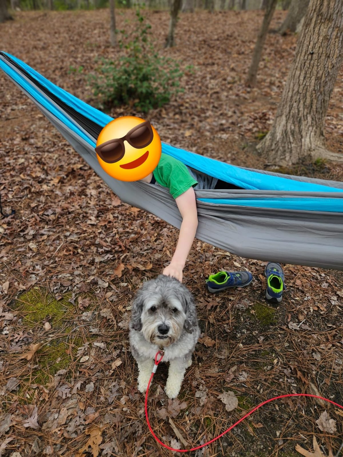 Kootek Camping Hammock 500lbs Capacity Outdoor Camping Essentials, Double | Outside&Indoors, Tree-Friendly Straps, Attached Carry Bag, 210T Parachute Nylon, D-Shaped Carabiners, Lightweight, Hand Wash customer photo 1