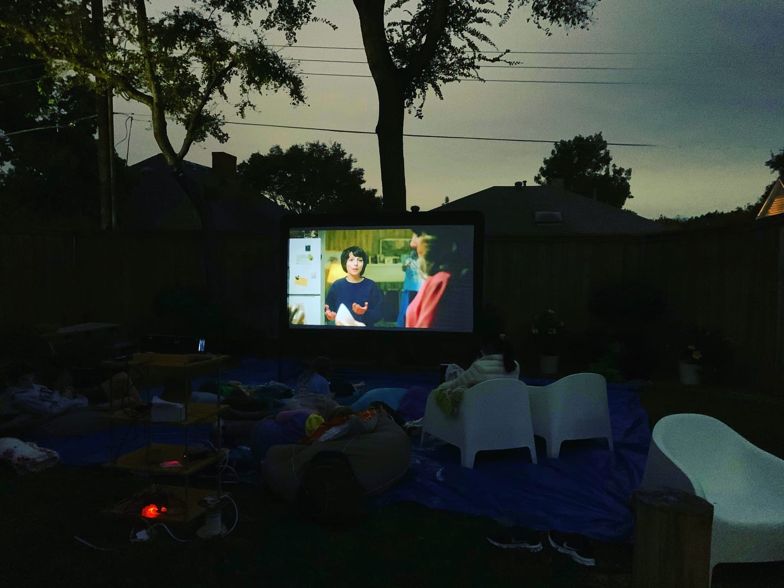 Optoma HD146X 1080P Full HD Vibrant Home Theater Projector customer photo 2