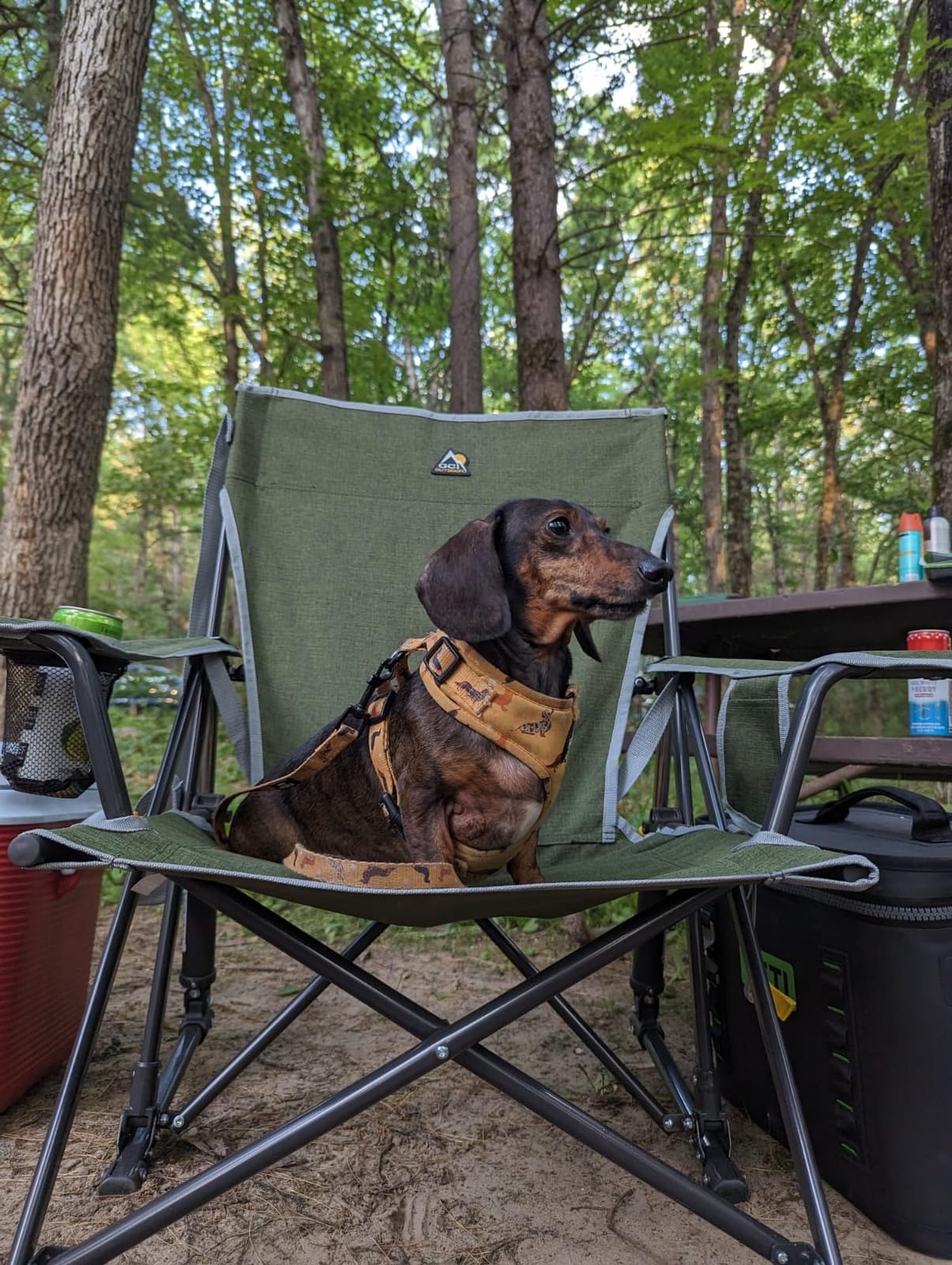 GCI Outdoor Kickback Rocker Outdoor Rocking Chair with Beverage Holder customer photo 1
