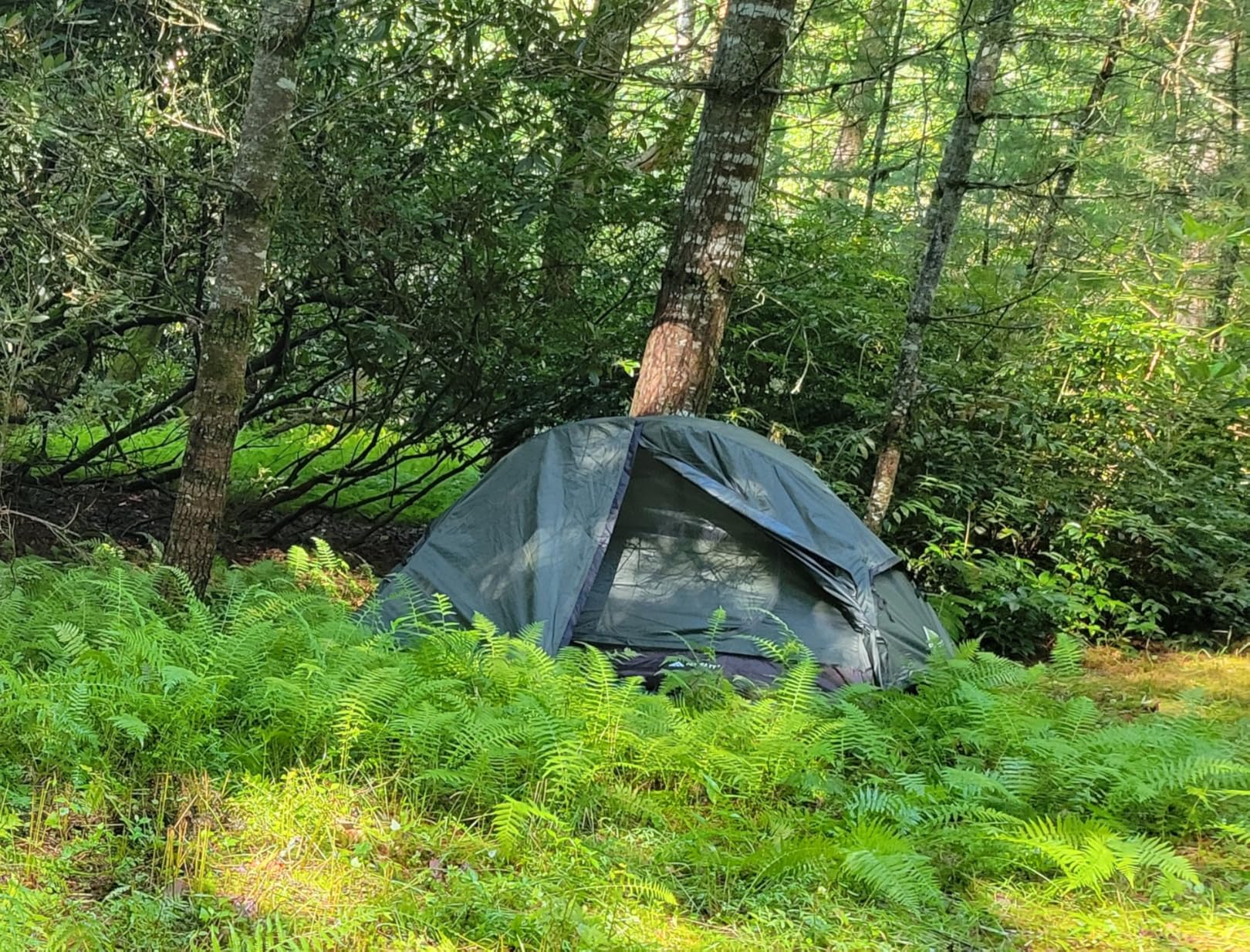 Forceatt Camping Tent 2 Person, Backpacking Tent Waterproof & Windproof, Ultralight Instant Tent with Rain Fly for Camping, Hiking, Outdoor customer photo 1