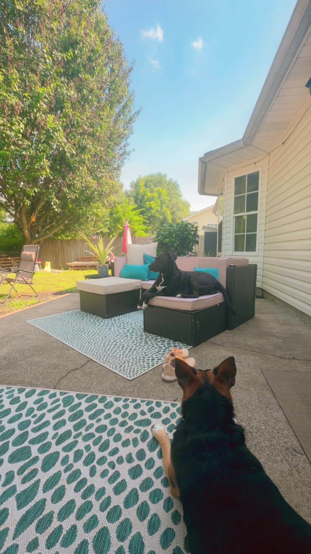 Vongrasig 5 Piece Patio Furniture Sets, Outdoor Patio Set Sectional Sofa | All-Weather PE Rattan Outdoor Couch with Ottoman, Glass Table for Garden, Backyard, Porch, Beige customer photo 1