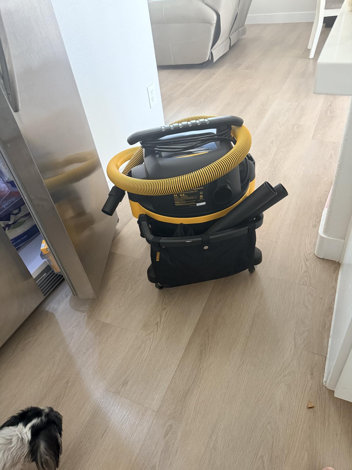 DEWALT 9 Gallon Wet/Dry VAC, Heavy-Duty Shop Vacuum, 5 Peak HP, DXV09PA customer photo 1