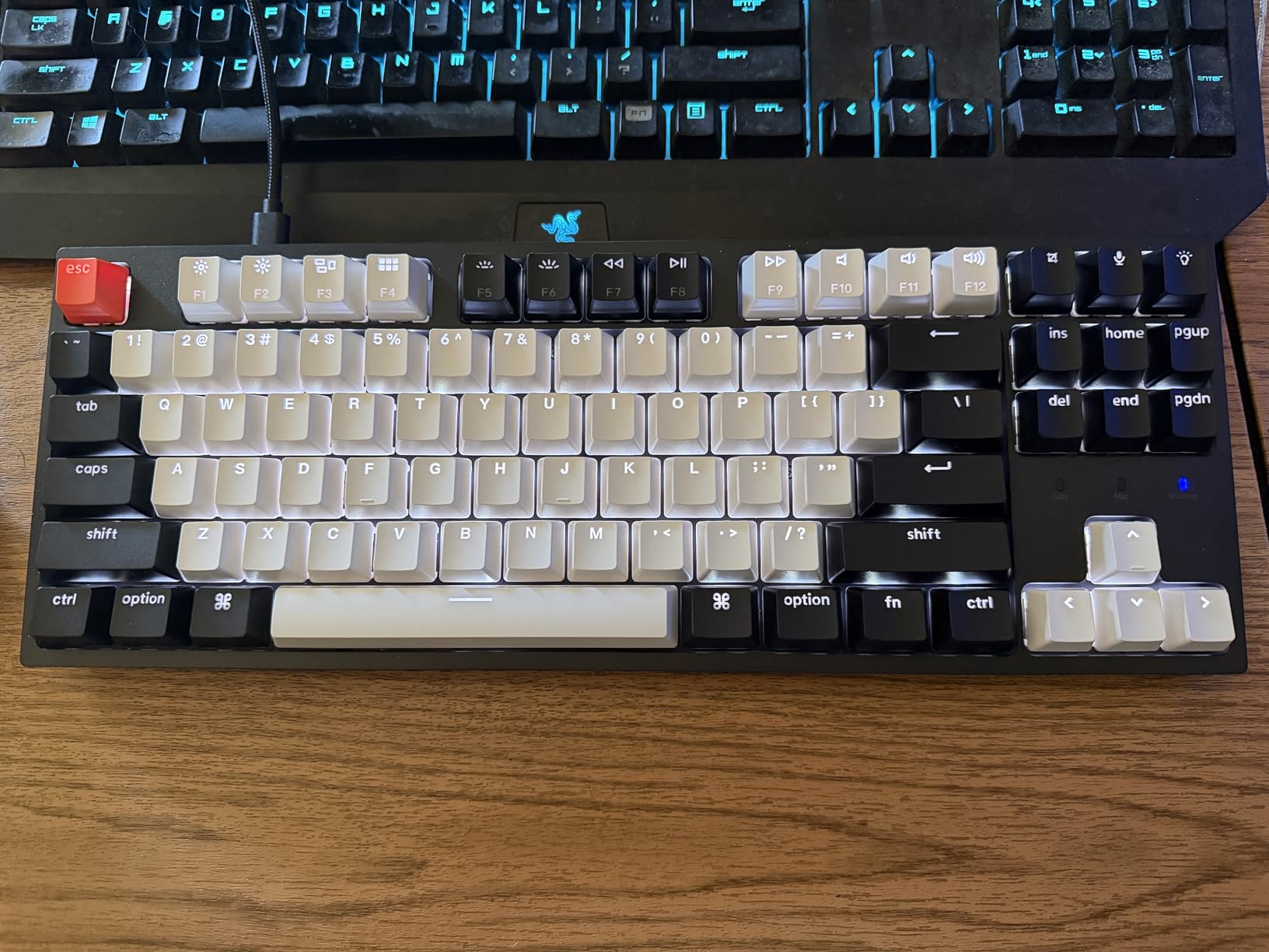 Keychron C1 Wired Mechanical Keyboard, TKL 87-Key Tenkeyless Gaming Keyboard for Mac Windows, Hot-Swappable Gateron G Pro Red Switches, White Backlit, USB-C, Double-Shot ABS Keycaps customer photo 2
