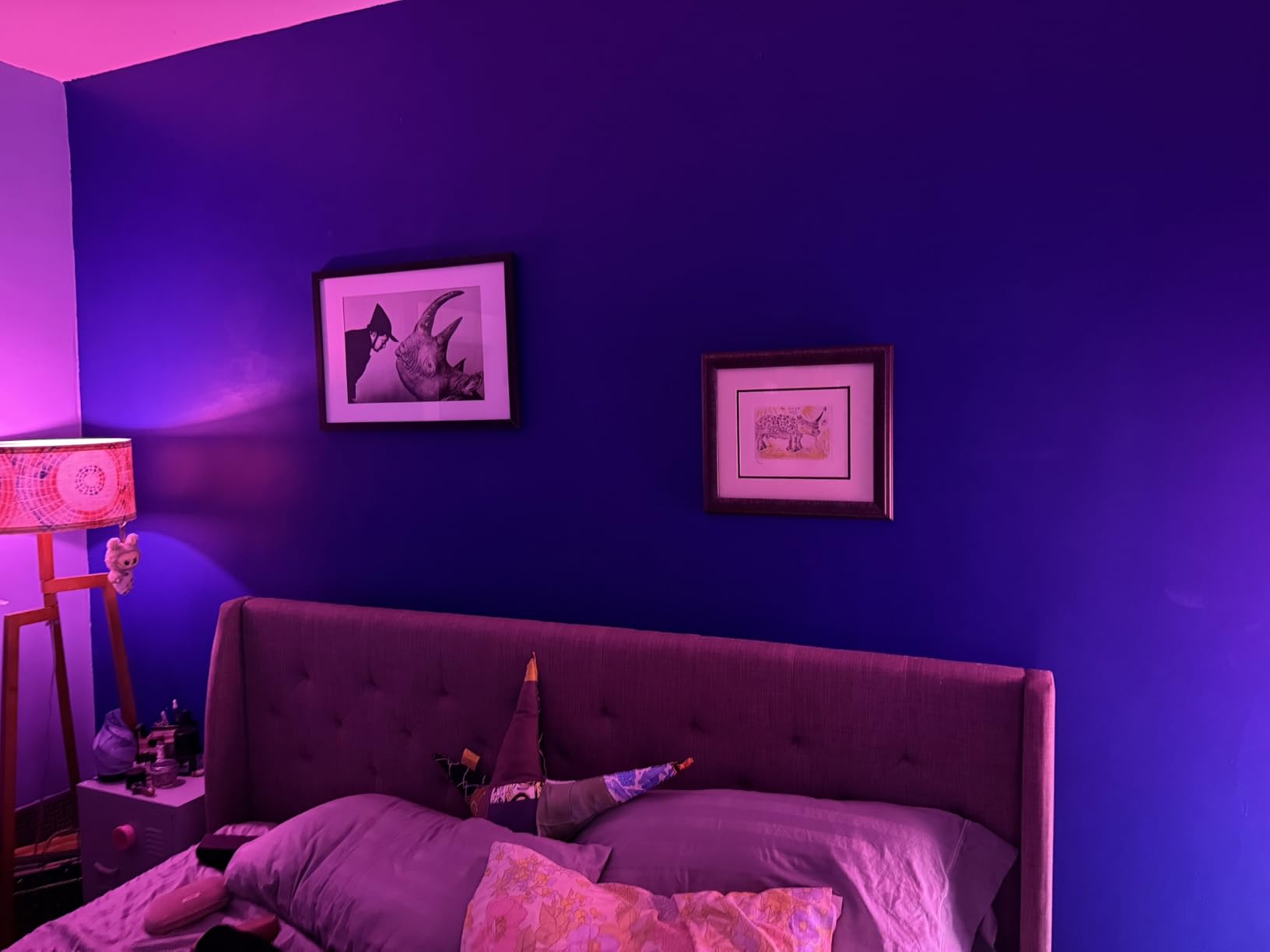Philips Hue A19 LED Smart Light Bulb 3-Pack - White and Color Ambiance - 60W Indoor Light Bulb - Control with Hue App - Works with Alexa, Google Assistant and Apple Homekit customer photo 1