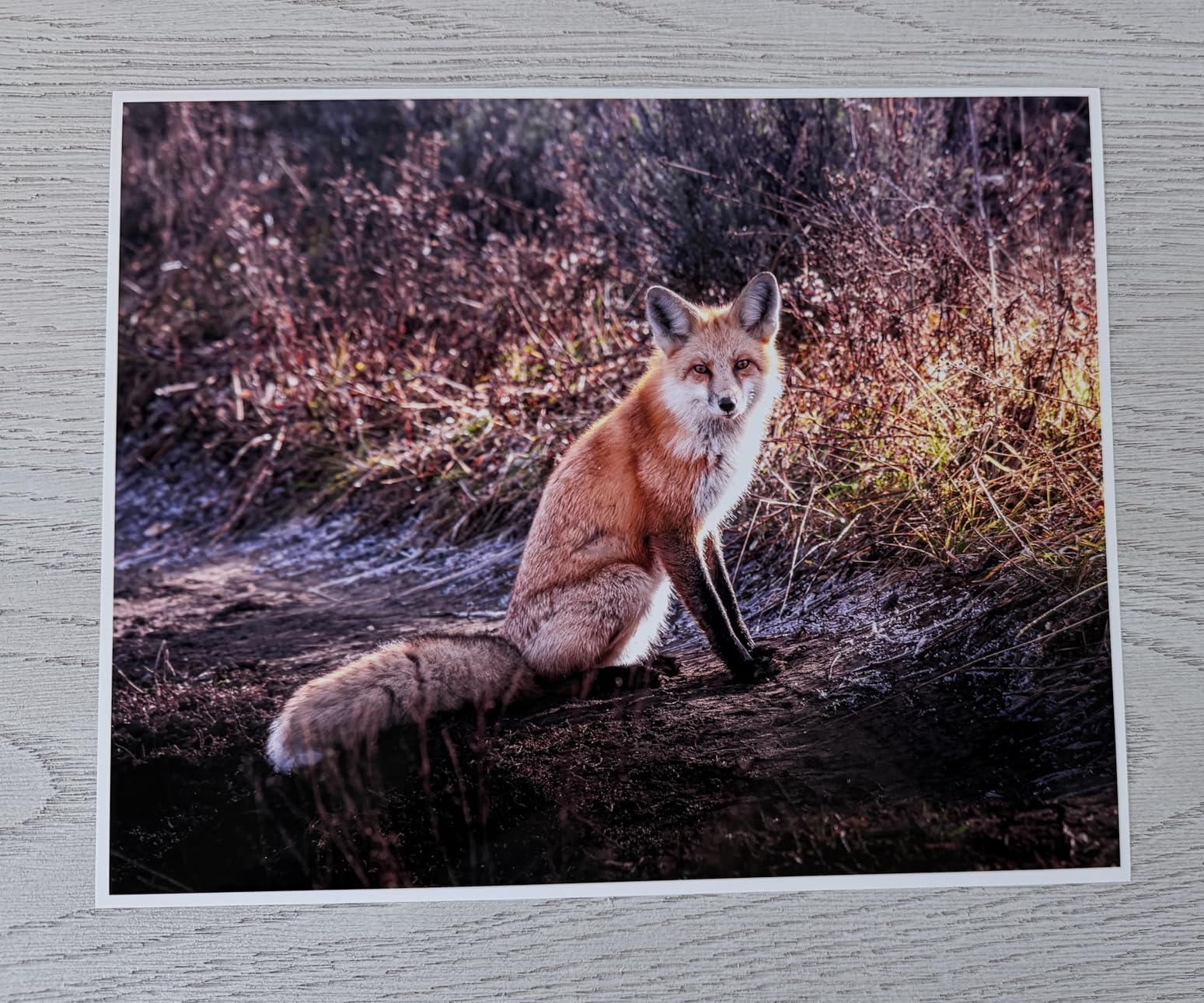 Epson EcoTank Photo ET-8550 Wireless Wide-Format All-in-One Tank Printer | Cartridge-free 6-color wide-format photo print, scan, copy; up to 16 ppm, 13 x 19 in.; ideal for creators and home studios customer photo 1