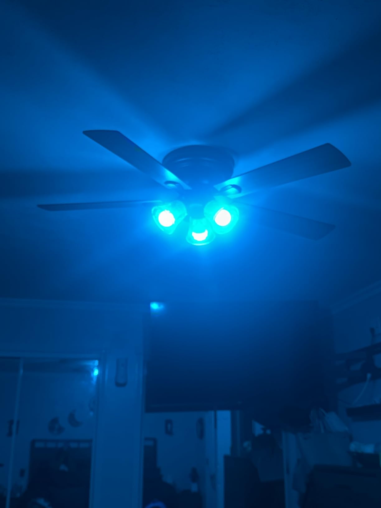 Kasa Smart Light Bulbs, Full Color Changing Dimmable Smart WiFi Bulbs Compatible with Alexa and Google Home, A19, 9W 800 Lumens, 2.4Ghz only, No Hub Required, 4 Count (KL125P4) customer photo 1