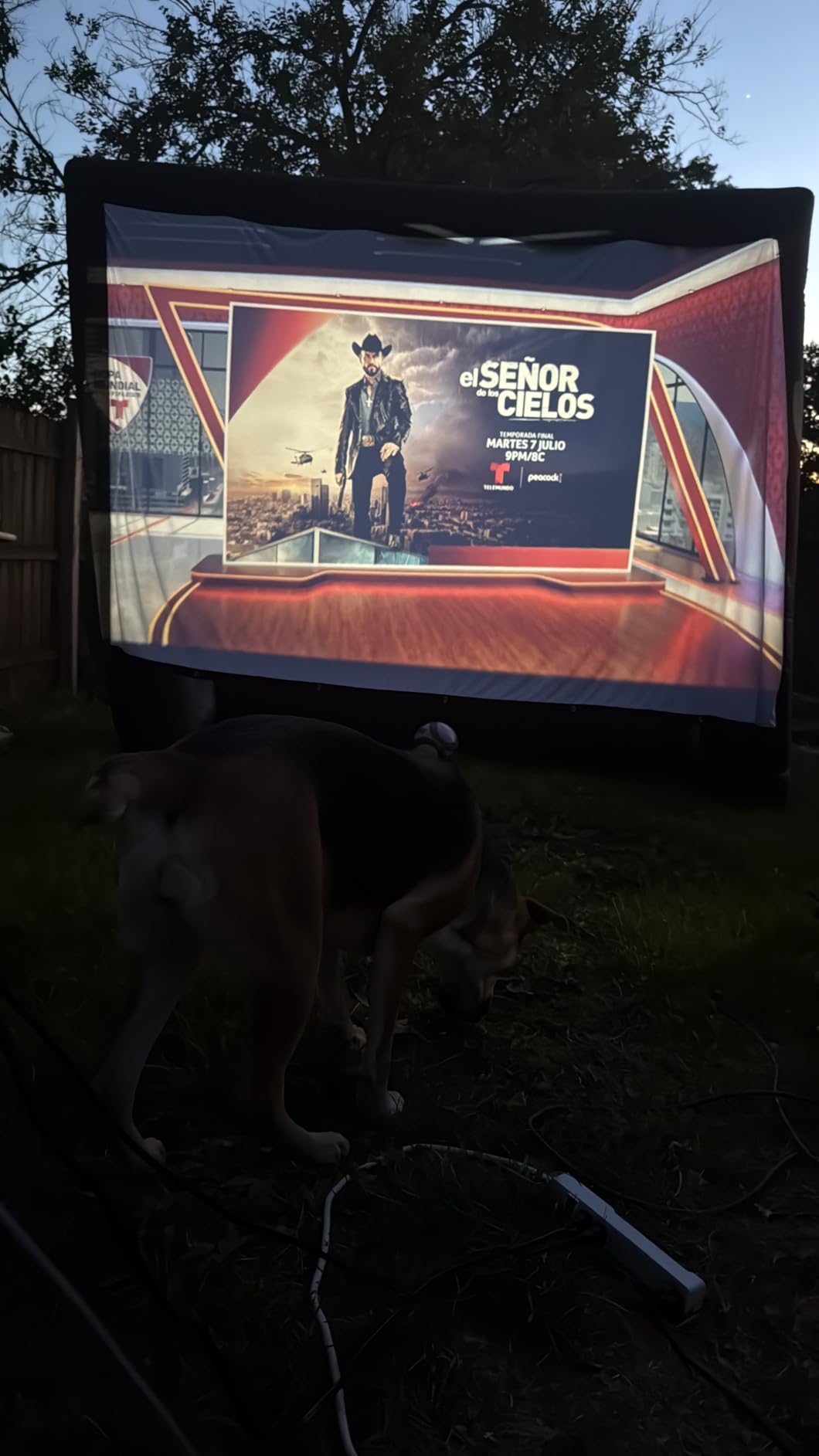 AAJK 150inch Outdoor Projector Screen Anti Crease Portable Movie Screen | Projector Screen Outdoor, Washable, 16:9, Foldable, Home Theater Outdoor Indoor, Support Double Sided Projection Screen customer photo 2
