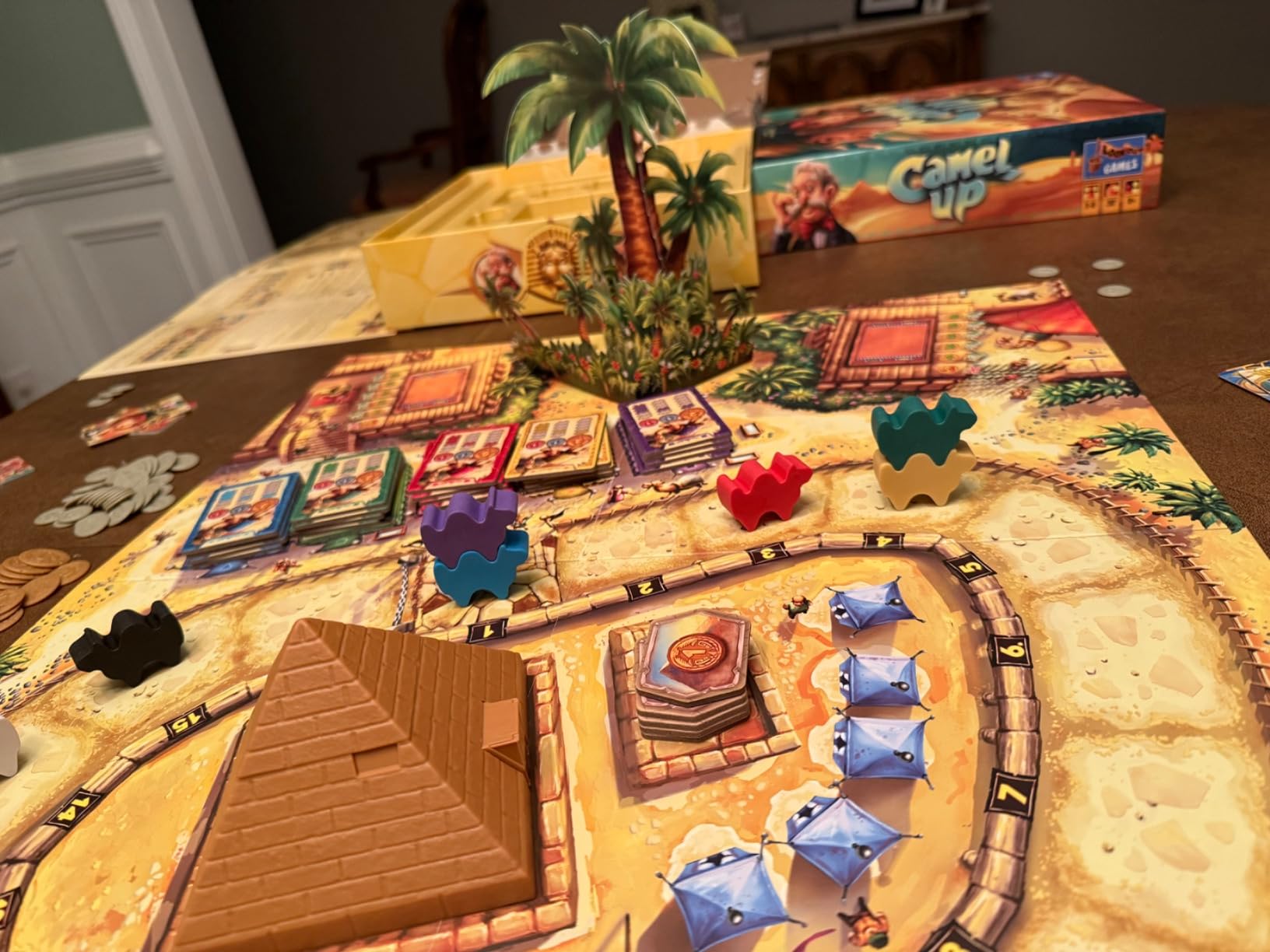 Camel Up (Second Edition) - Exciting Camel-Racing Betting Strategy Game! Fun Family Game for Kids & Adults, Ages 8+, 3-8 Players, 30-45 Minute Playtime, Made by Eggertspiele customer photo 1