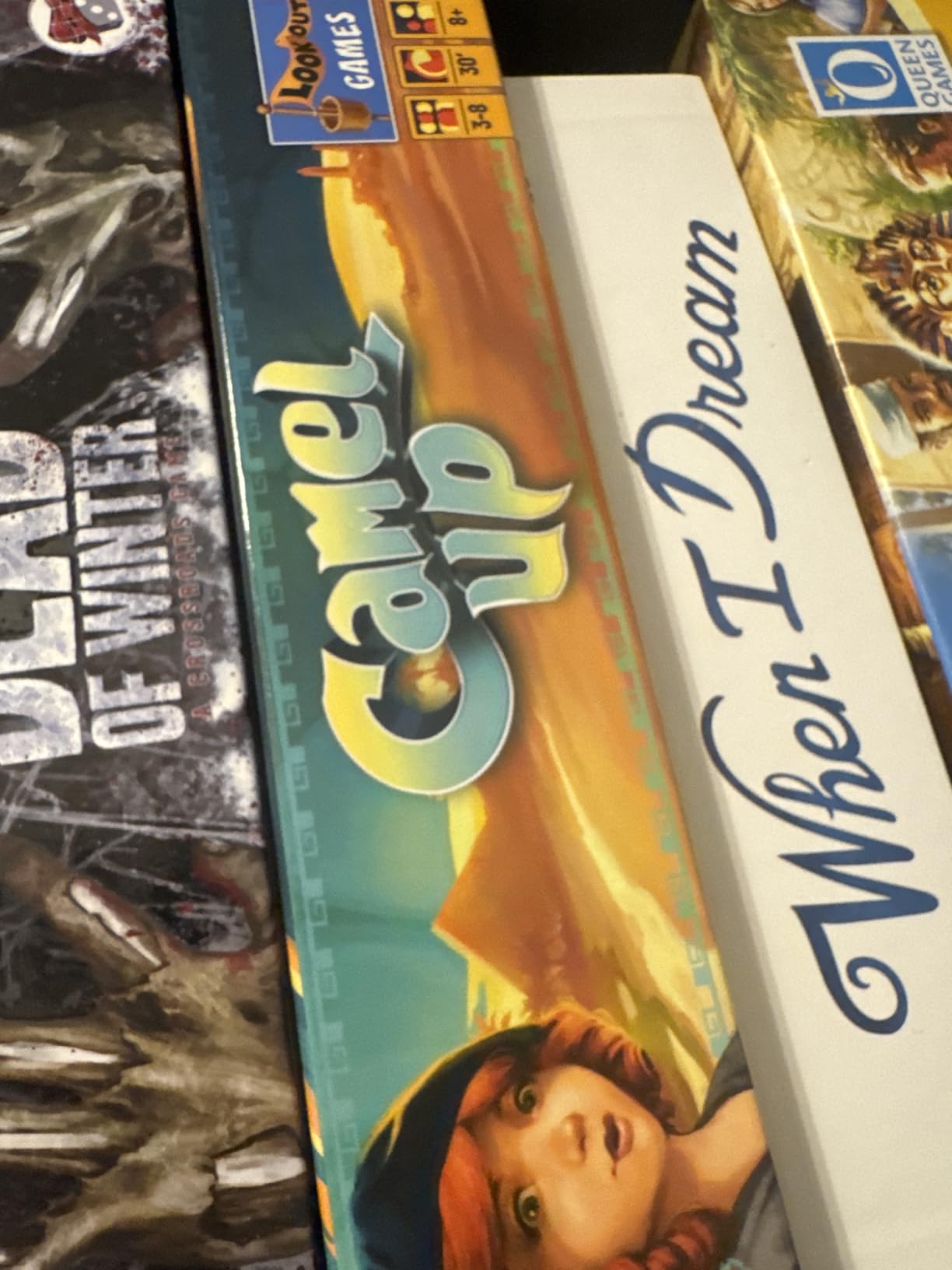 Camel Up (Second Edition) - Exciting Camel-Racing Betting Strategy Game! Fun Family Game for Kids & Adults, Ages 8+, 3-8 Players, 30-45 Minute Playtime, Made by Eggertspiele customer photo 2