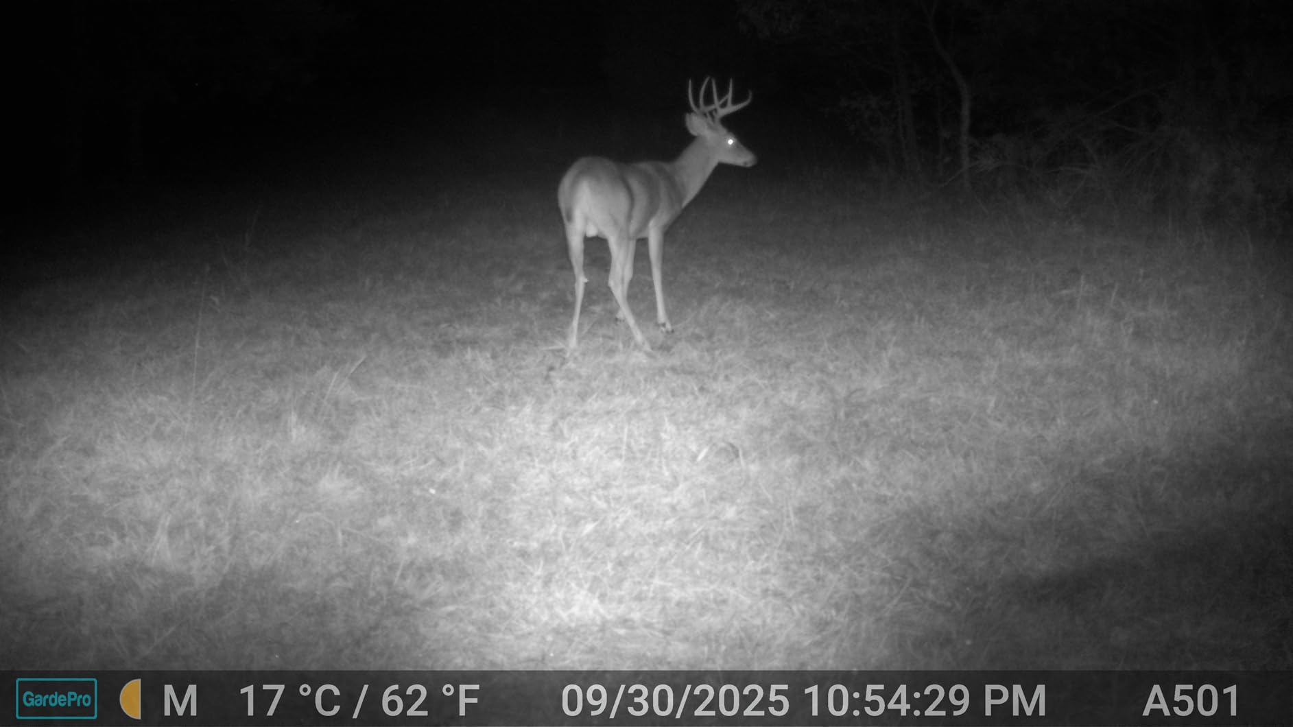 GardePro E5S Trail Camera, 64MP Photo & 1296P HD Video customer photo 1