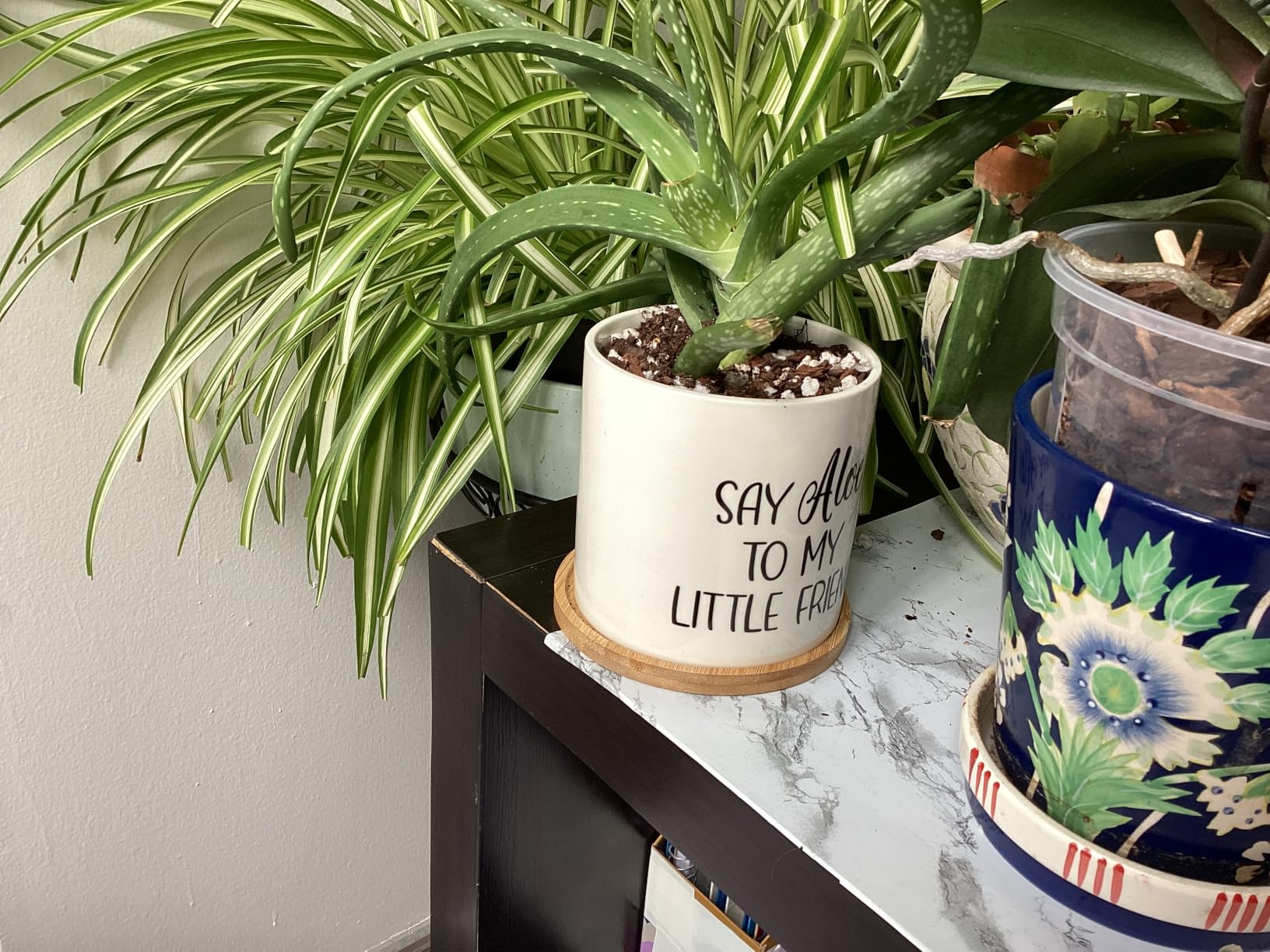Say Aloe to My Little Friend Planter Pot Plant Lover Set with Bamboo Tray customer photo 1