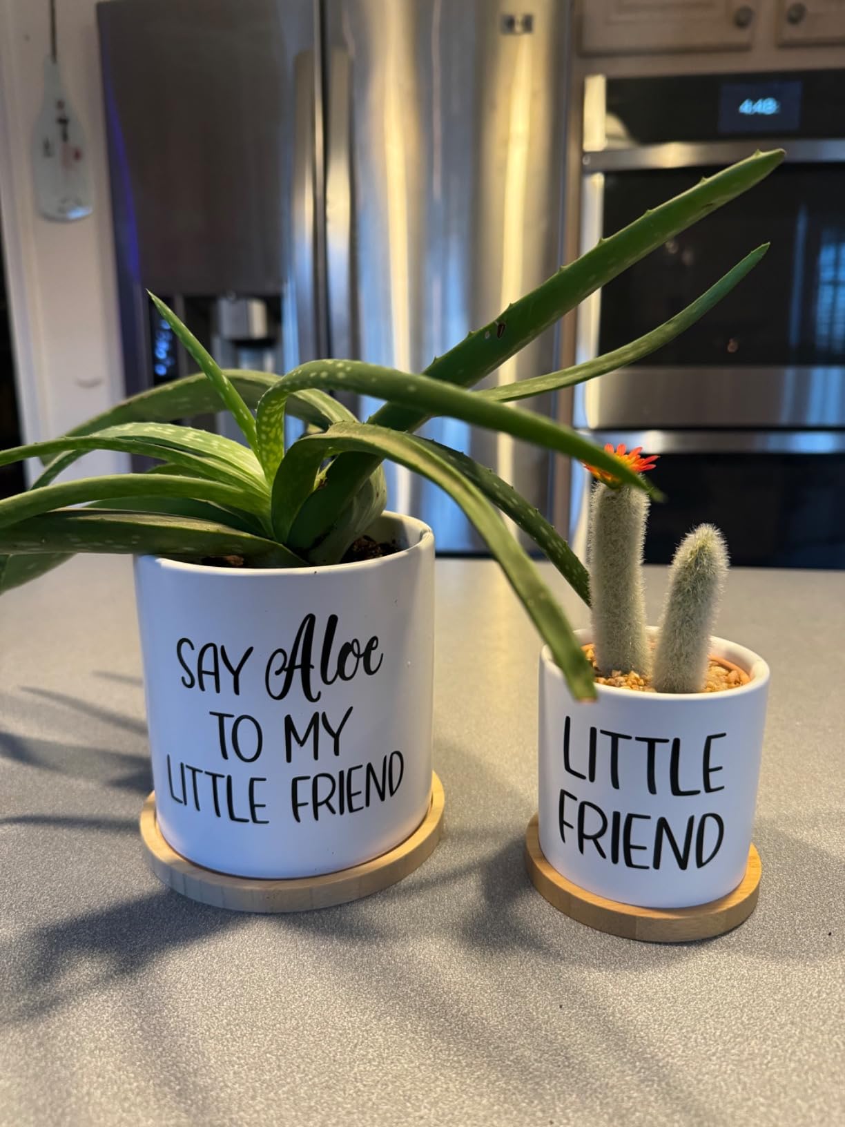 Say Aloe to My Little Friend Planter Pot Plant Lover Set with Bamboo Tray customer photo 2