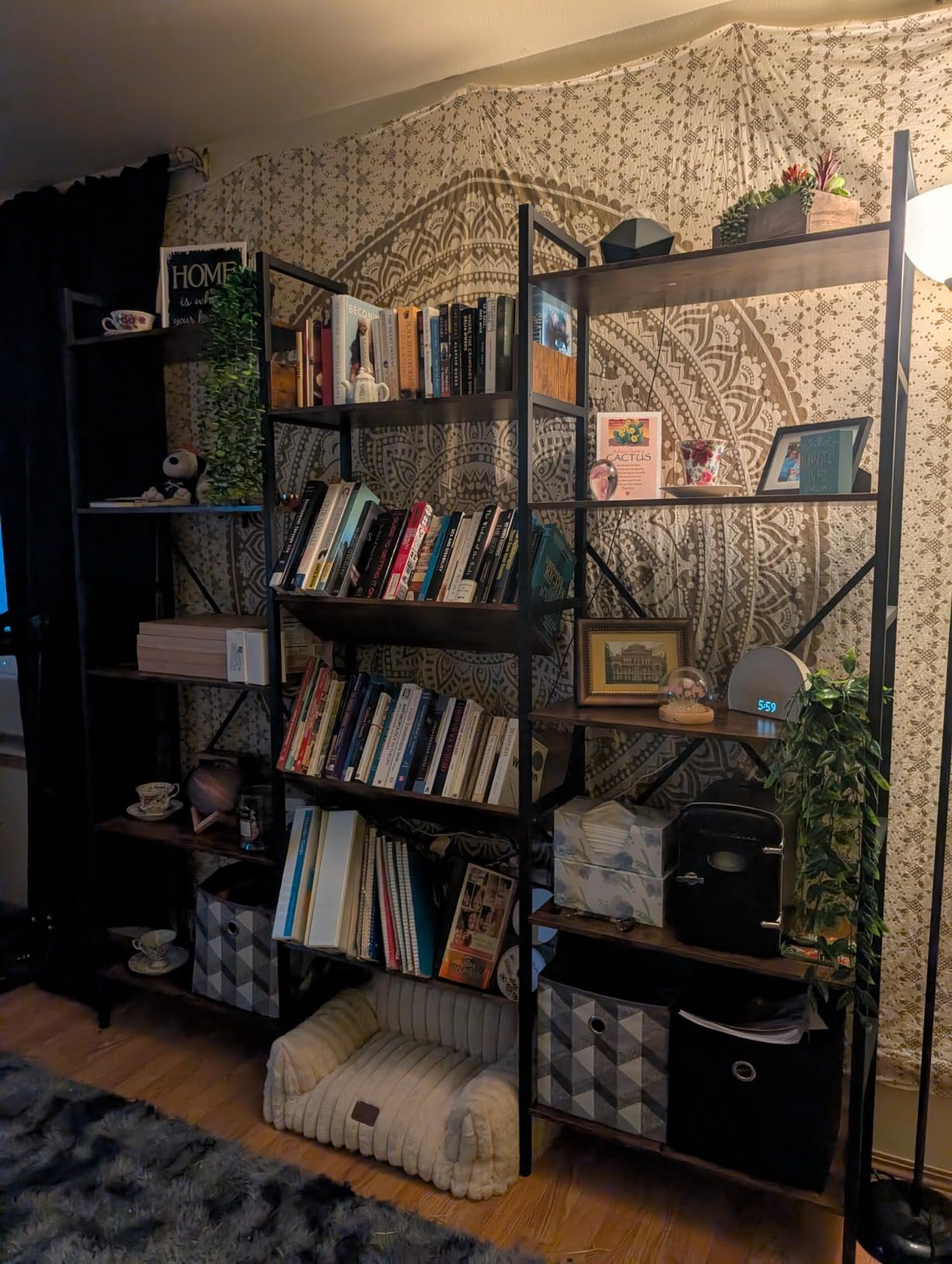 IRONCK Bookshelf, Bookshelves and Bookcases, Triple Wide 5 Tiers Book Shelf with Baffles, Industrial Bookshelf with Metal Frame for Living Room, Home Office customer photo 1