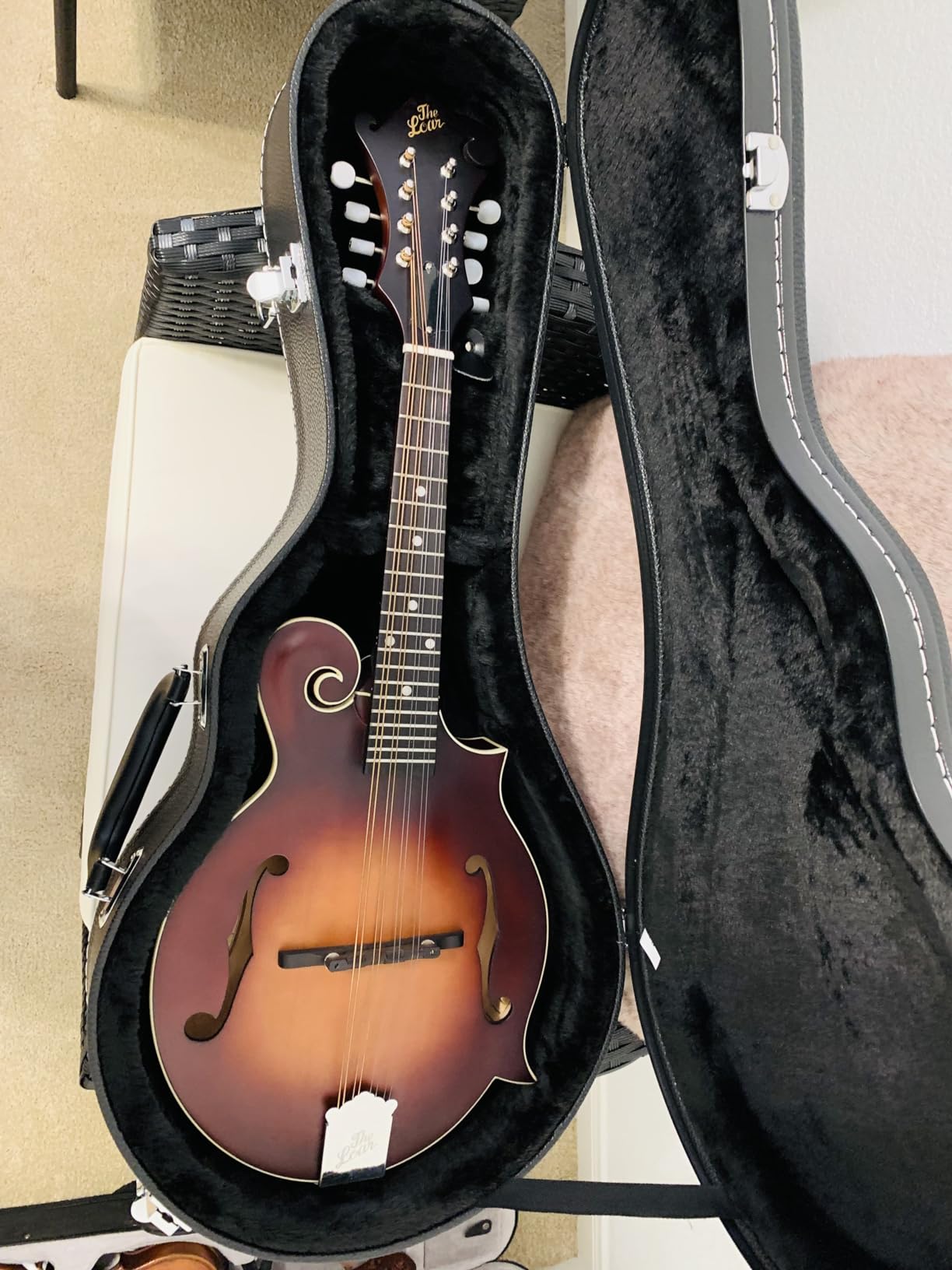 Ktaxon F-Style Mandolin Hard Case Deluxe Leather | Hard-Shell Carrying Case, Wooden Protective Case, Plush Interior customer photo 1
