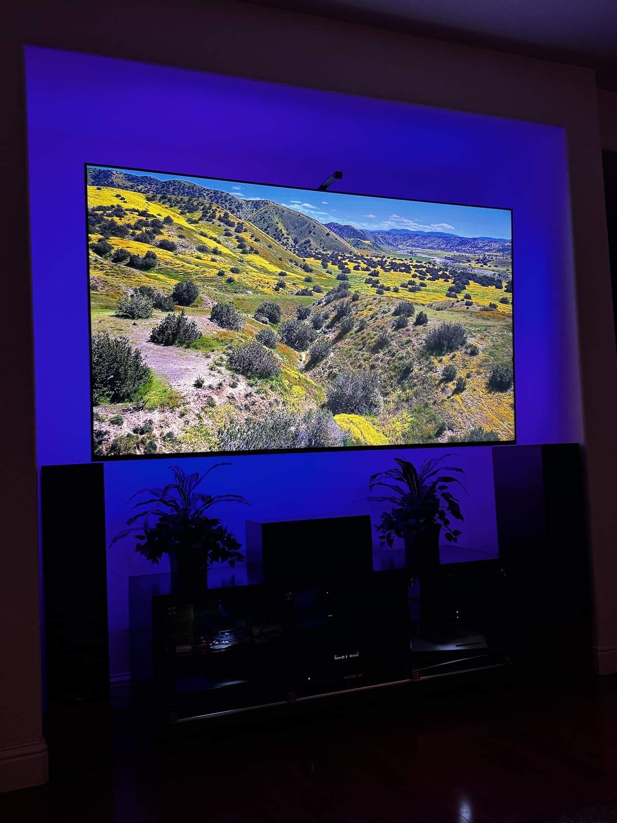 Govee TV LED Backlight, RGBIC Smart LED Strip Lights for 55-65 inch TVs | 99+ Scene Modes, Music Sync, Bluetooth and Wi-Fi APP Control, Works with Alexa & Google Assistant, Adapter, 12.5ft/114 LEDs customer photo 1