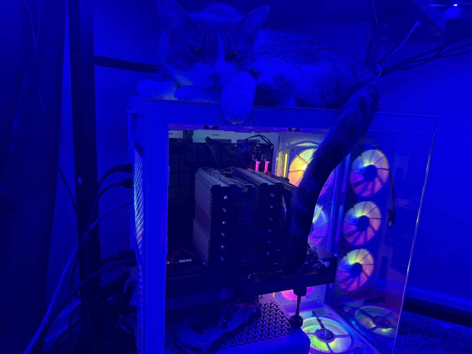 Sapphire 11323-02-20G Pulse AMD Radeon RX 7900 XT Gaming Graphics Card with 20GB GDDR6, AMD RDNA 3 customer photo 1