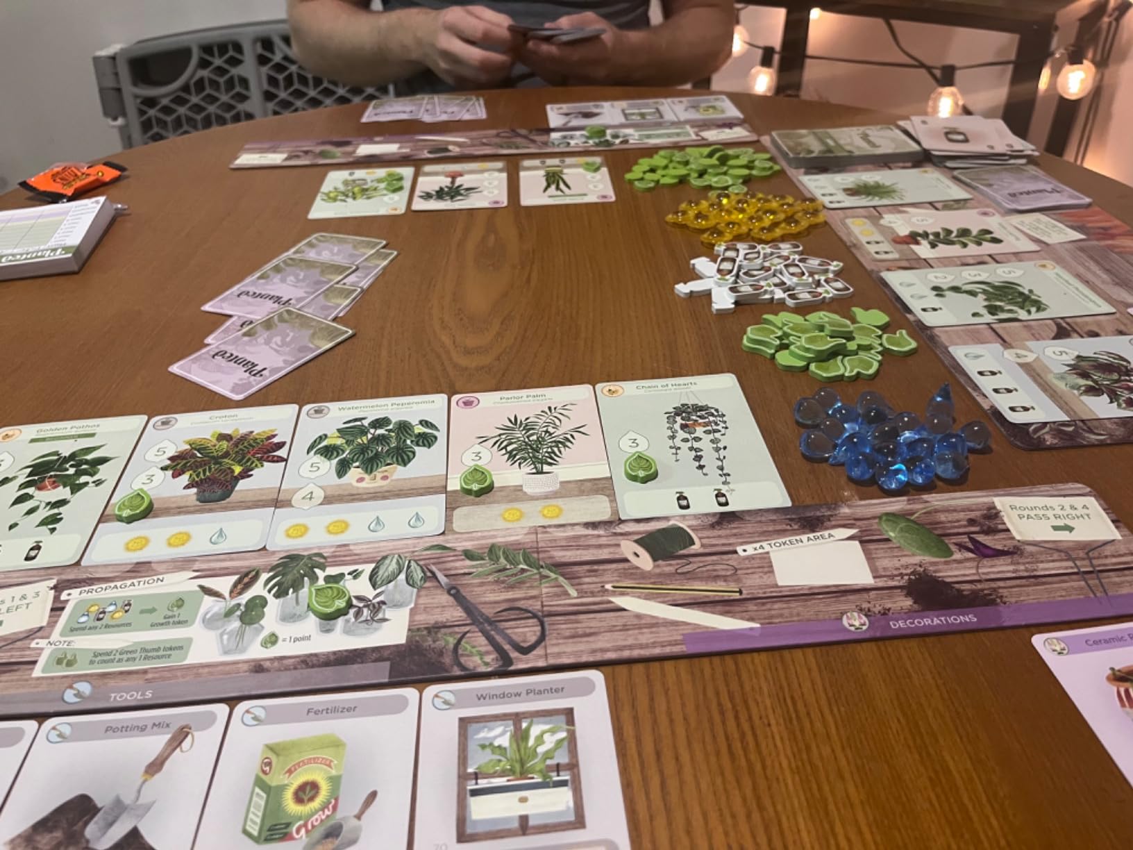 Buffalo Games Planted Strategy Boardgame, 2-5 Players, 42 Plants, 20-30 min | Quick Game Night, Unique Houseplant Variety, Couples & Small Groups, Ages 10+, Strategy Games for Families customer photo 1