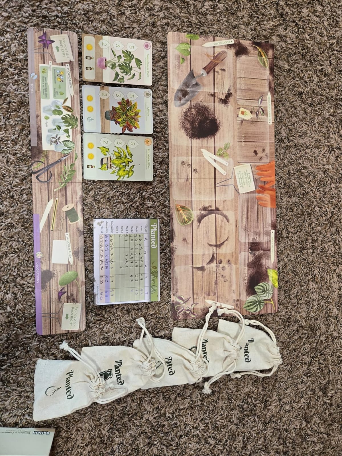 Buffalo Games Planted Strategy Boardgame, 2-5 Players, 42 Plants, 20-30 min | Quick Game Night, Unique Houseplant Variety, Couples & Small Groups, Ages 10+, Strategy Games for Families customer photo 2