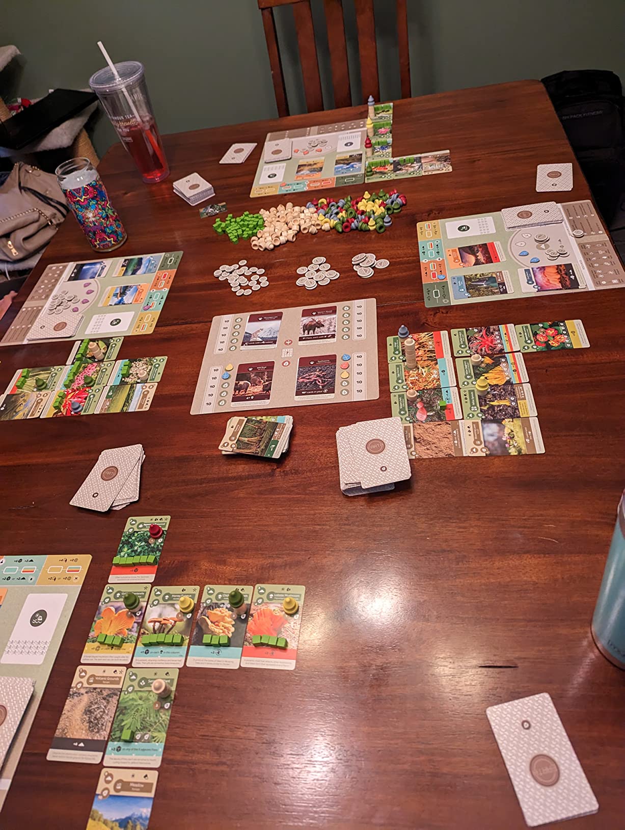 Inside Up Games Earth | Board Game of the Year 2023 | Ecosystem Building, Card Drafting, Action Selection | Create Amazing Natural Synergies | 1 to 5 Players | 45 to 90 Minute | Age 13+ customer photo 2