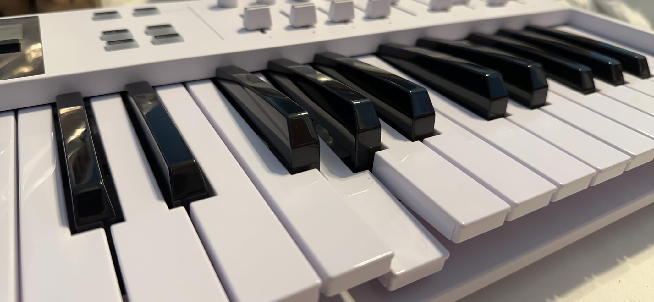 Arturia KeyLab Essential mk3 49 Key USB MIDI Keyboard Controller with Analog Lab V Software Included customer photo 2