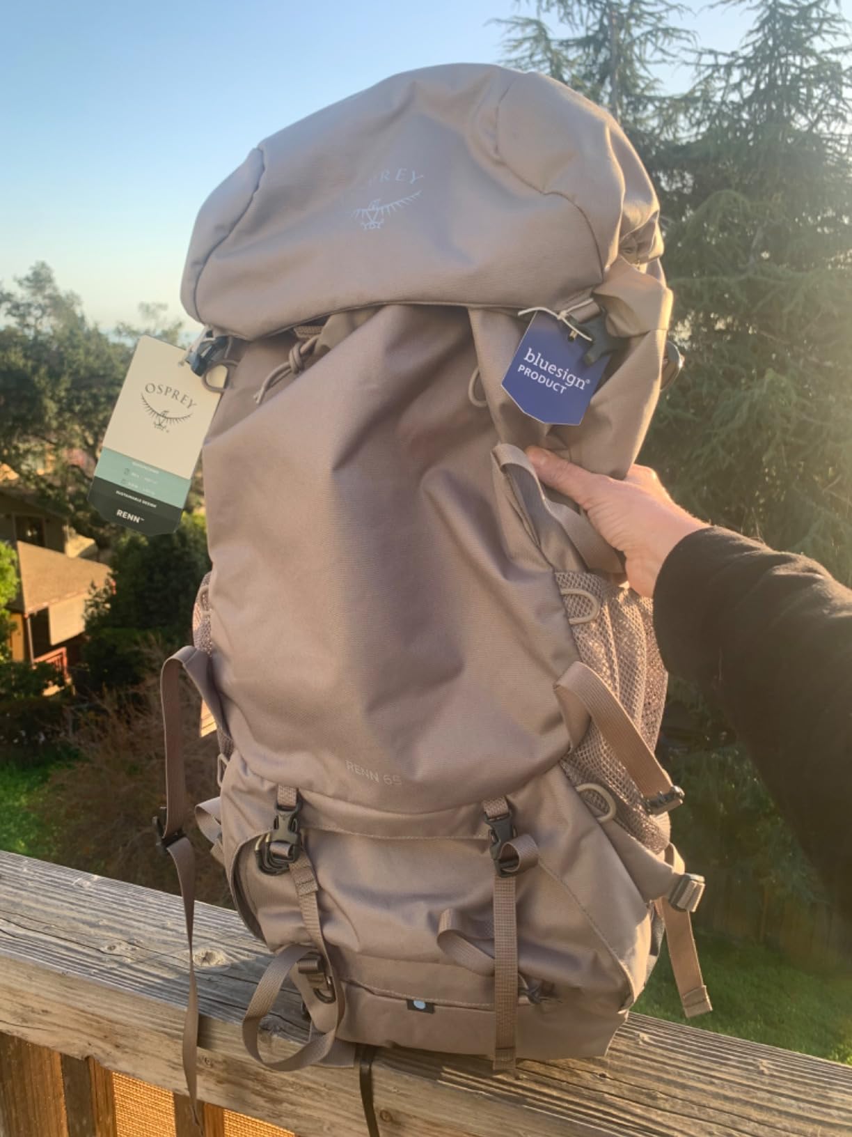 Osprey Renn 65L Women's Backpacking Backpack, Blue OS customer photo 2