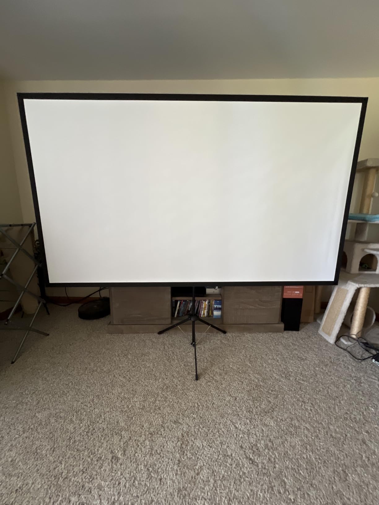 Projector Screen with Stand, Paris RHONE 100-inch Outdoor Indoor Projector Screen 16:9 4K HD PVC, 1.5 Gain Portable Wrinkle-Free Movie Screen for Home Backyard Theater with Carry Bag, Ground Nails customer photo 1